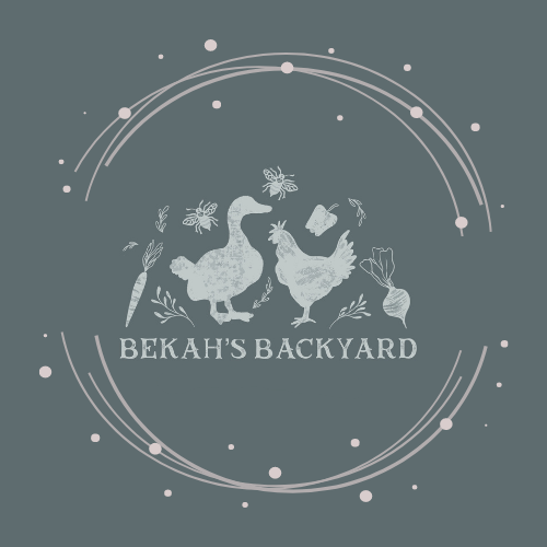 Bekah&#39;s Backyard