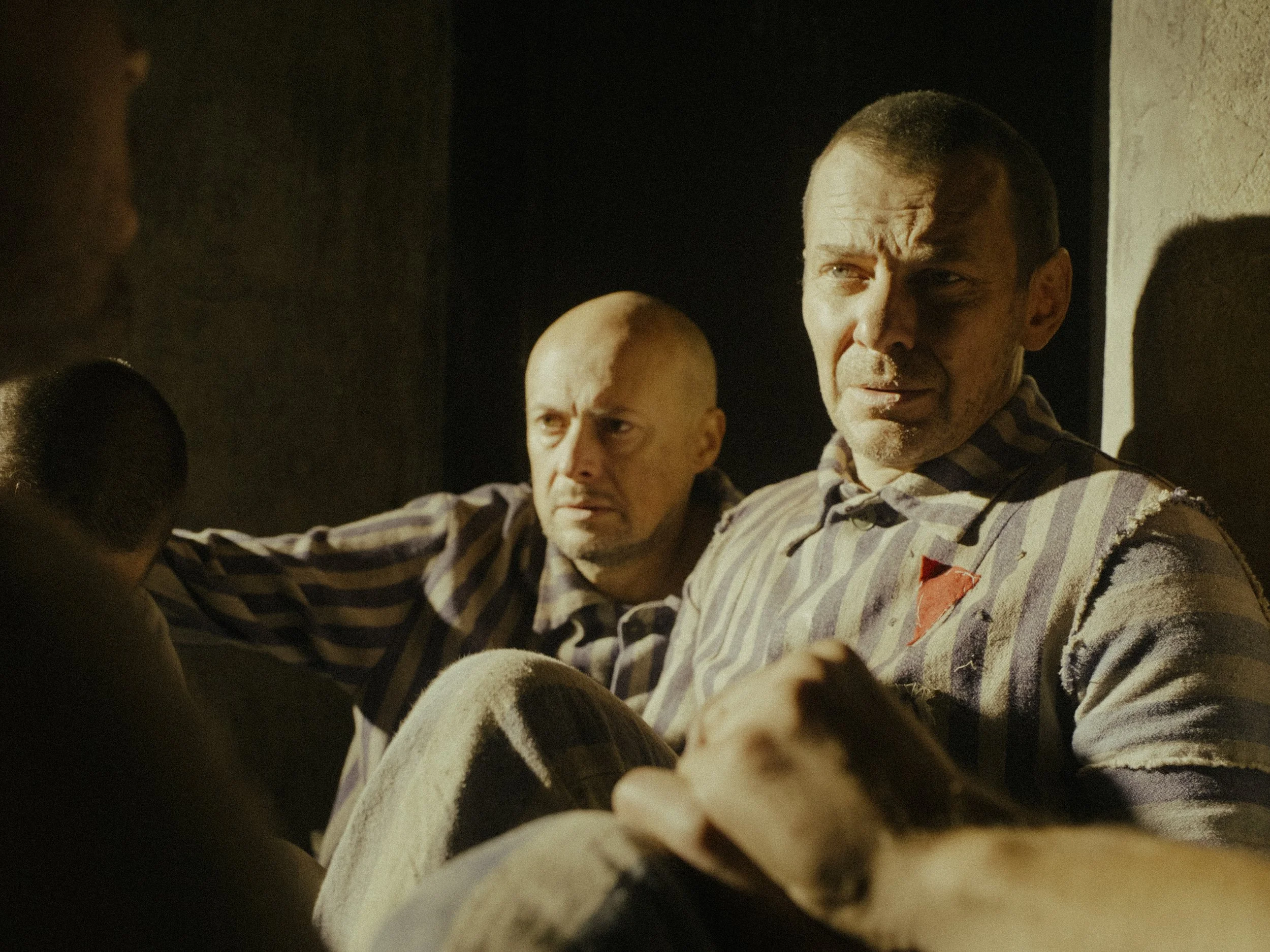 Stream the Film — Triumph of the Heart