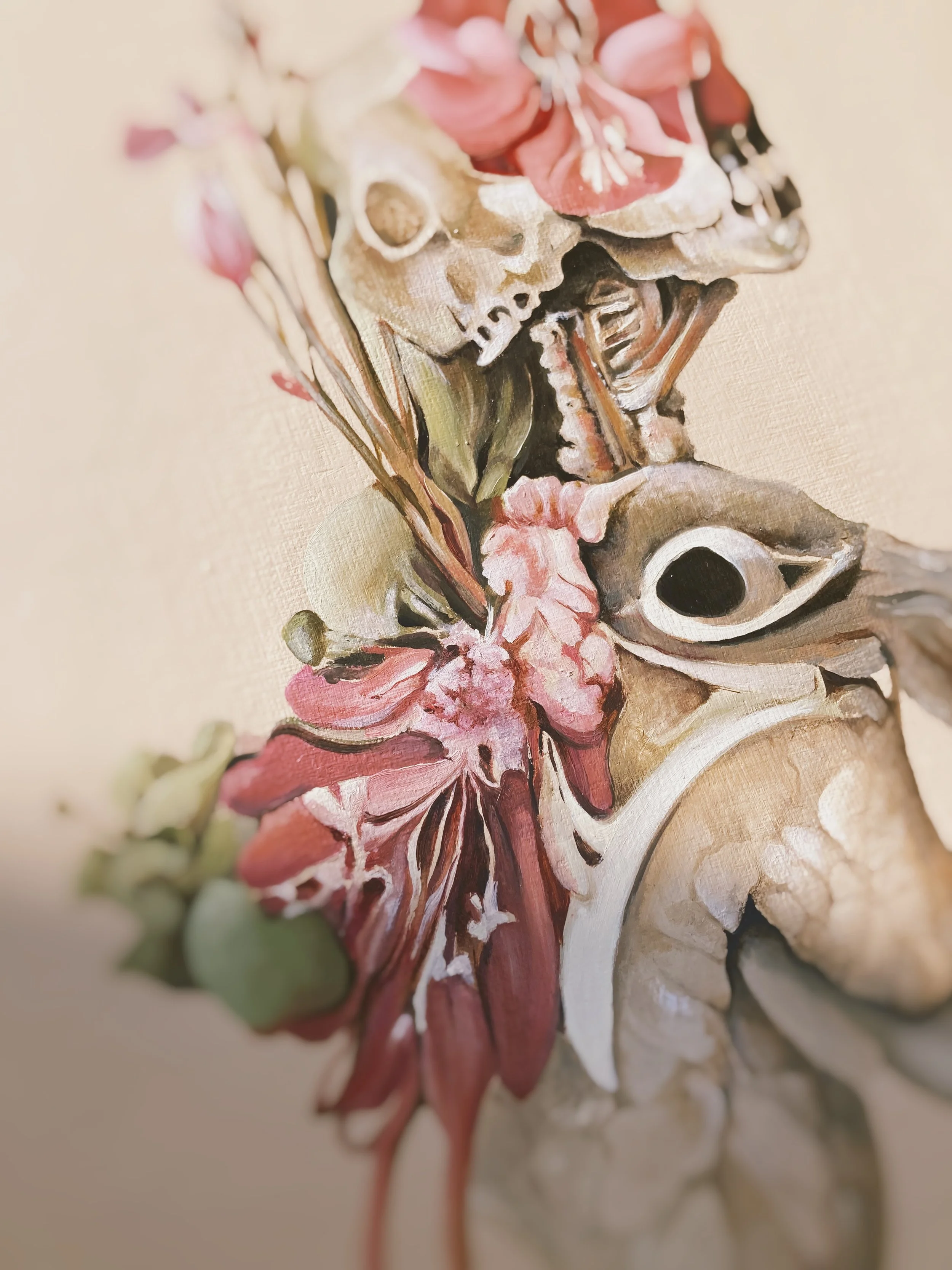 IMG_5246_VSCO.JPG
