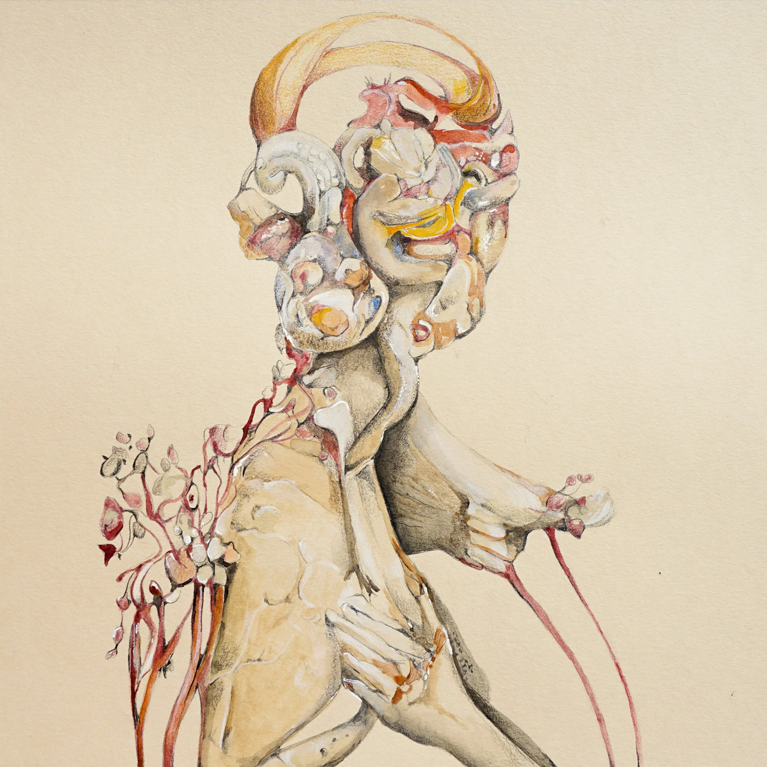 Corpus Florens - Study III