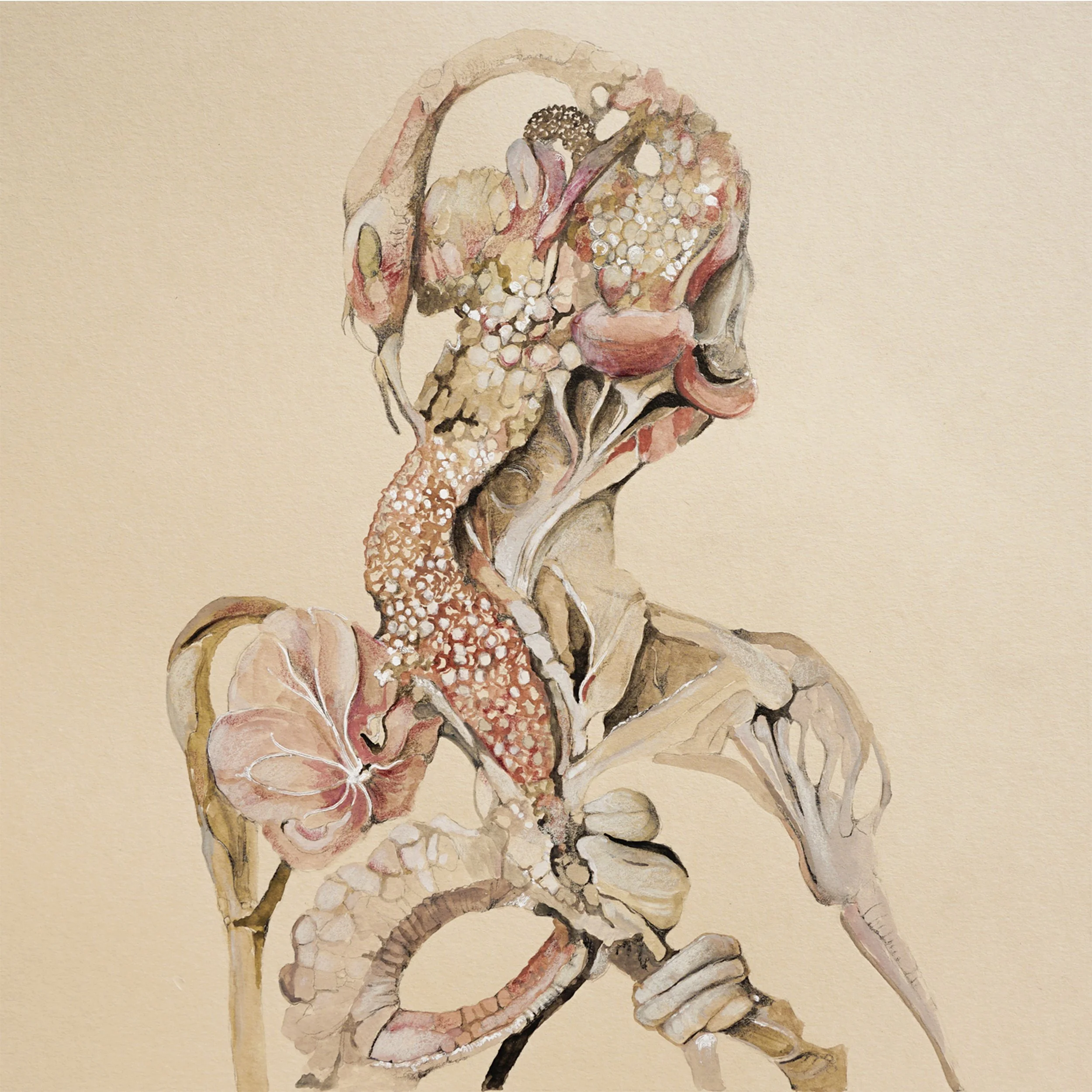 OlivierJLW_CorpusFlorens_IV_detail.jpg