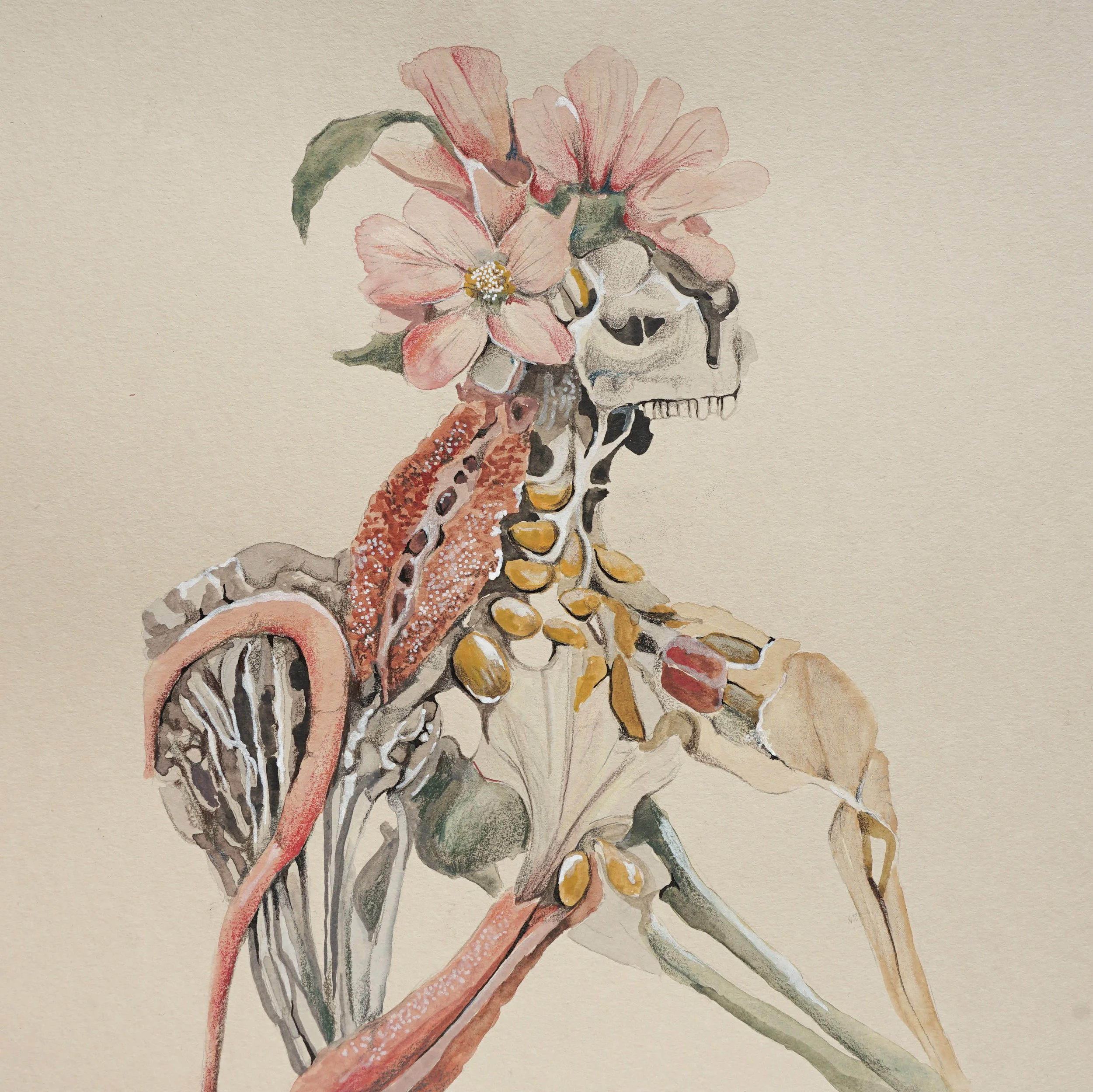 Corpus_Florens_11.jpg