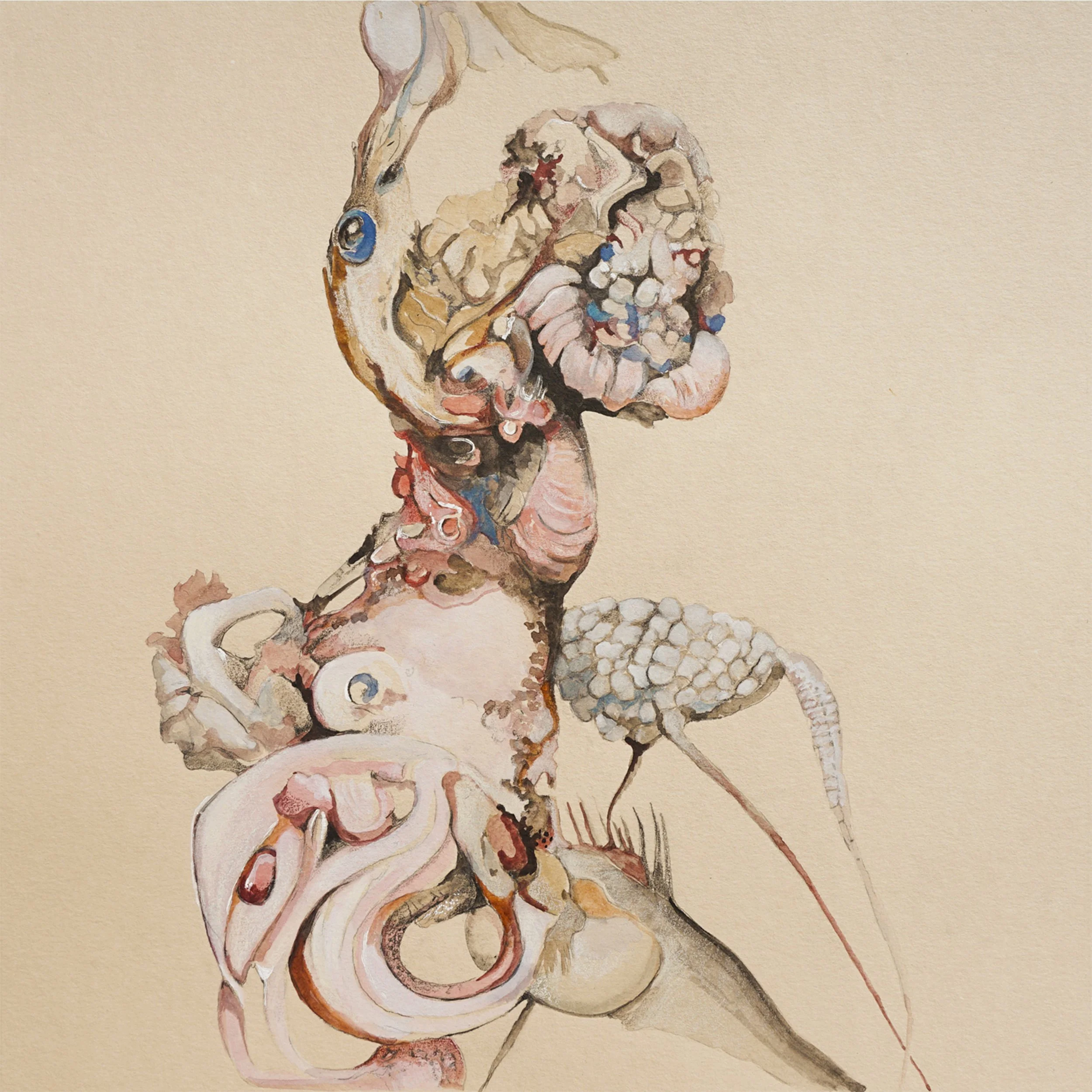 OlivierJLW_CorpusFlorens_V_detail.jpg