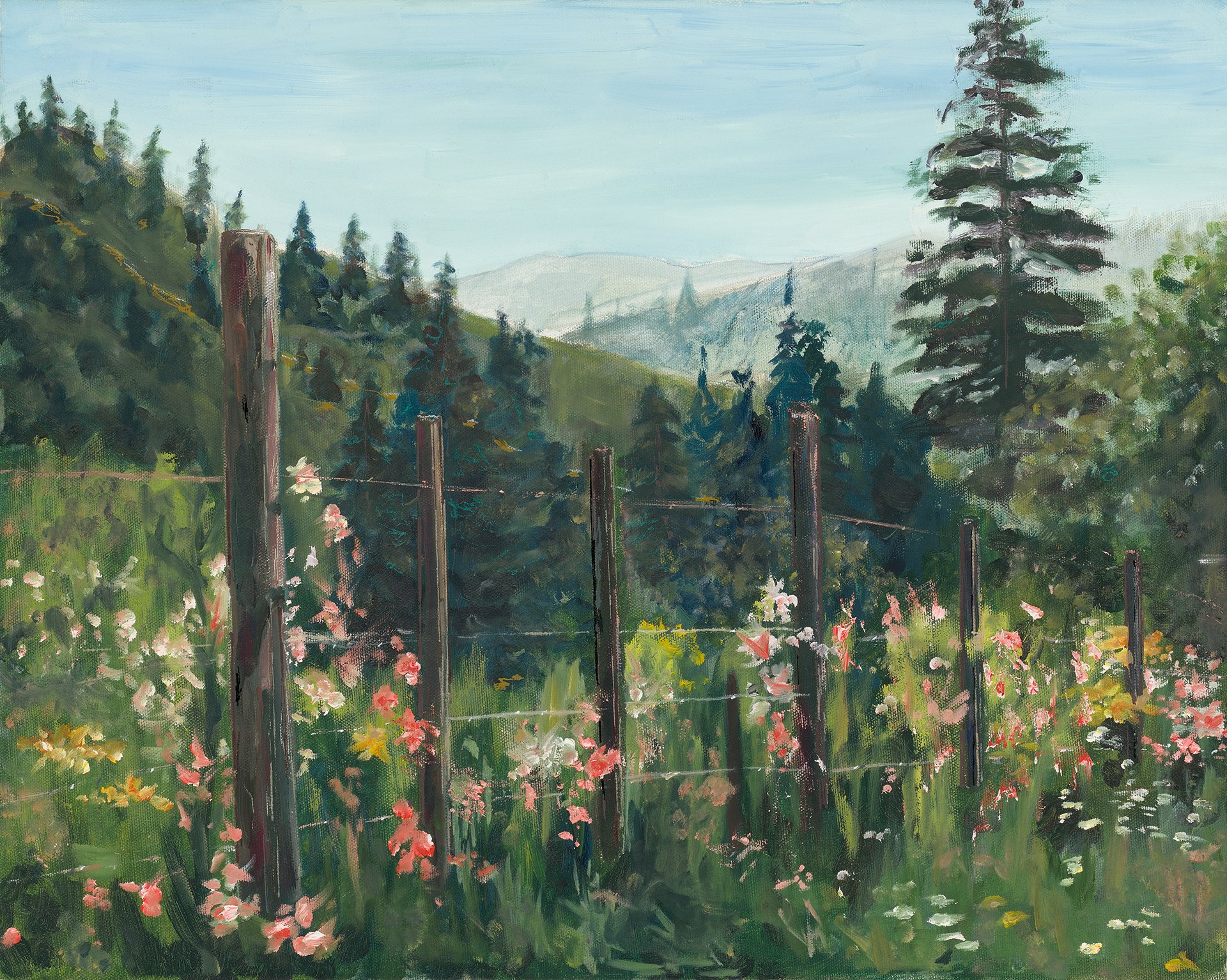 Meadow Glory