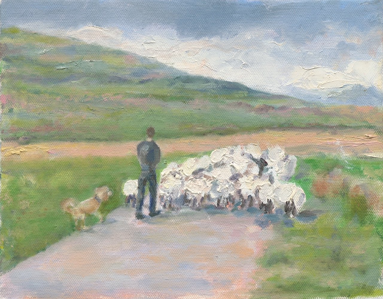 Shepherd + Flock