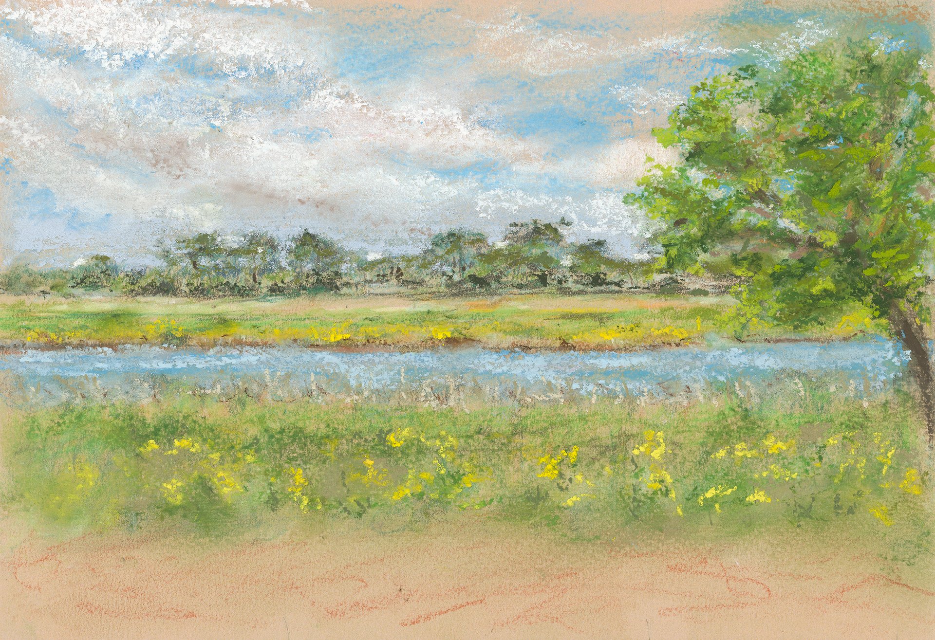 Mingo Point, S.C. + Pastel