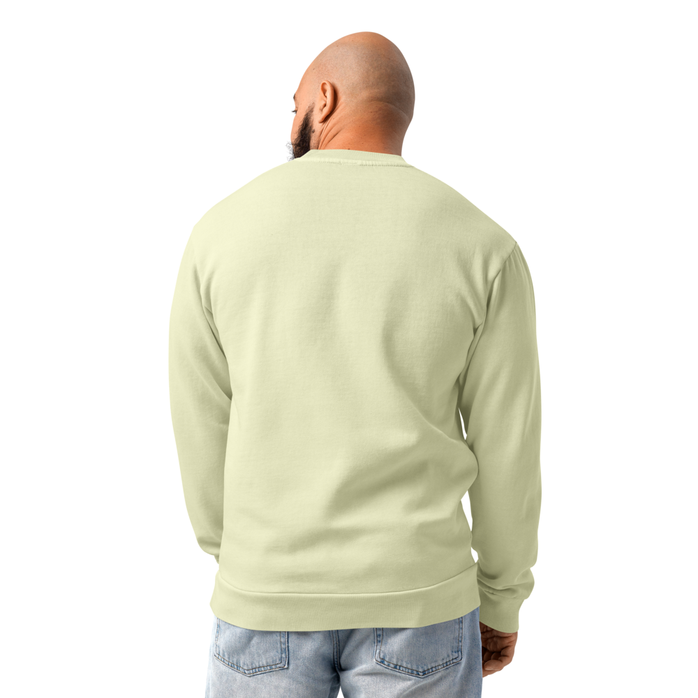 lane-seven-ls16004-i-urban-crewneck-sweatshirt-pistachio-back-69402f66ea0b9.png