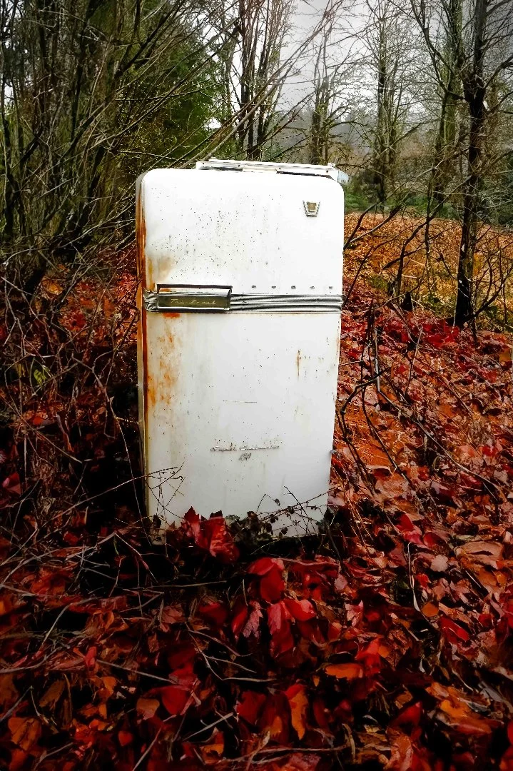  
"Would You Open?"
 
 
Artist: 
Darren Henkel
 
 
Price: $420
 
13" x 21"