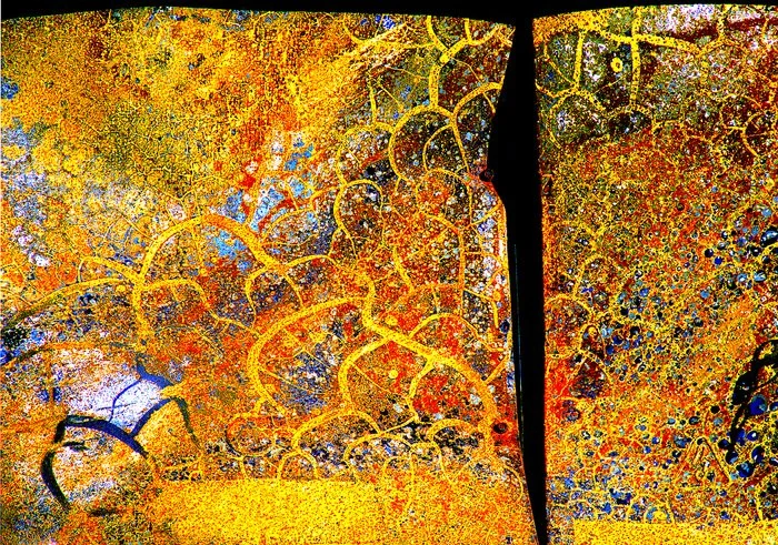  Scaled, arising from the Eaton Fire, Altadena
 
 
Artist: 
Jack Straton (Portland, OR)
 
 
Price: $490
 
17.5” x 23”