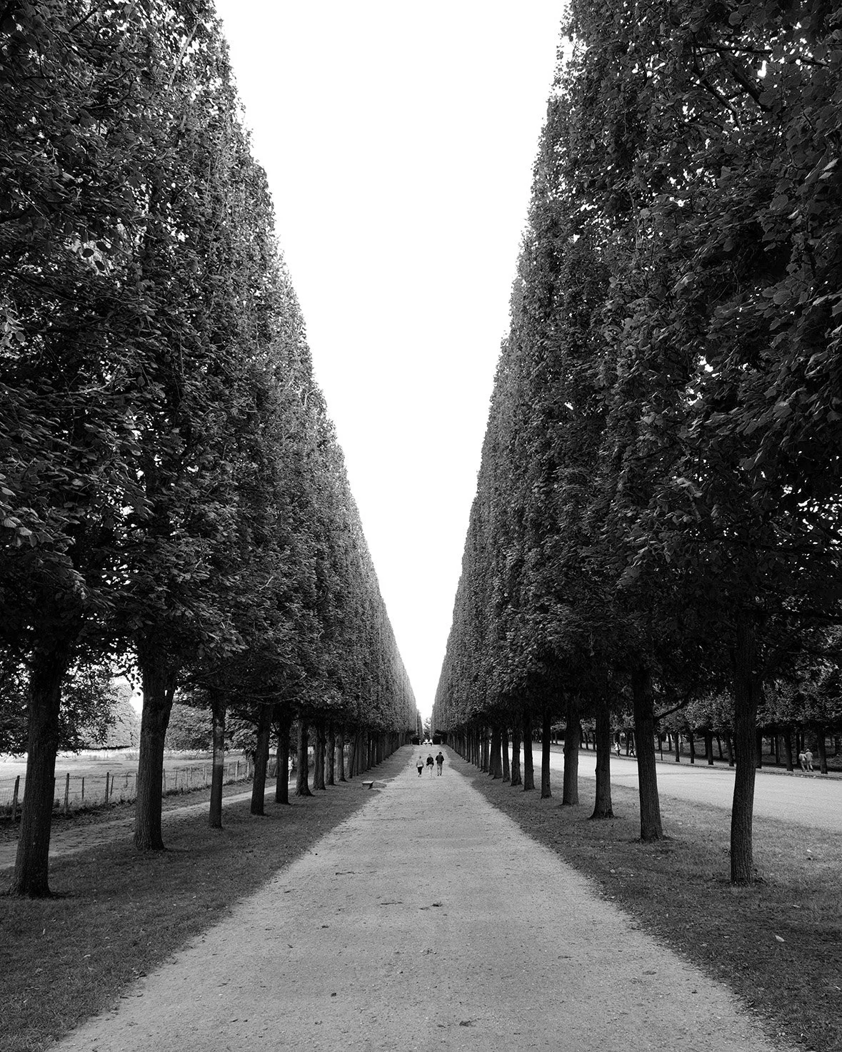  Quittant Versailles
 
 
Photographer: 
Steve Kernes
 
 
Price: $250
 
8” x 10”