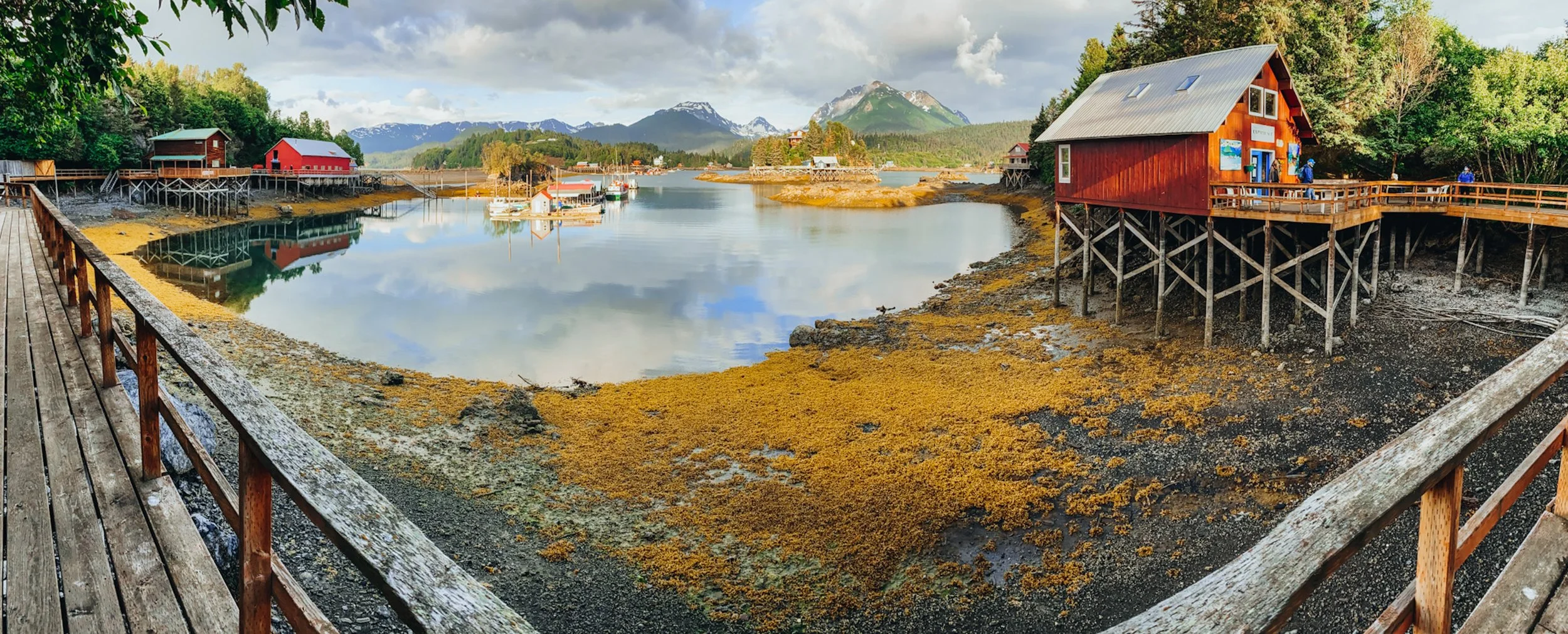  The Halibut Cove
 
 
Photographer: 
Jordon McCulloch
 
 
Price: $175
 
26" x 10"