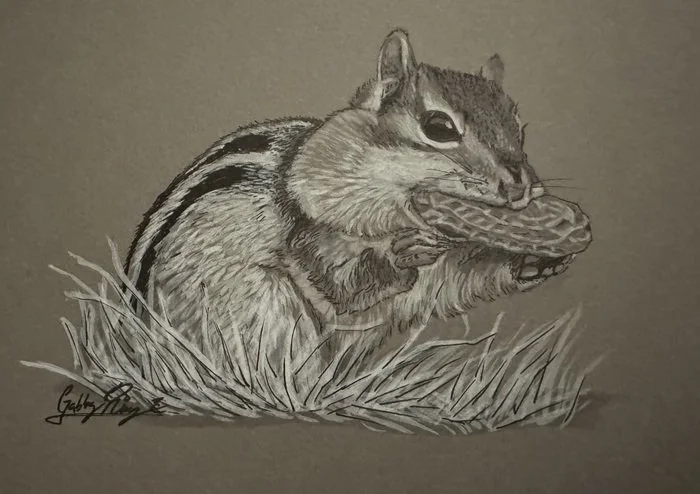  Small Snack
 
 
Artist: 
Gabby Ring
 
 
Price: $100
 
4.5" x 6.5"