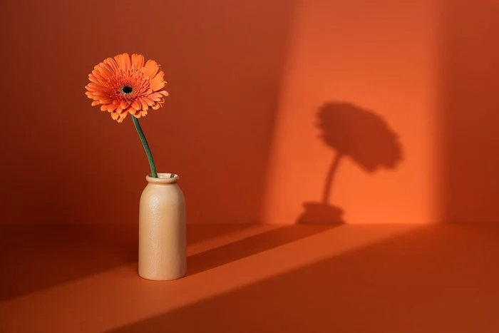 Naranja que te quiero naranja.jpg