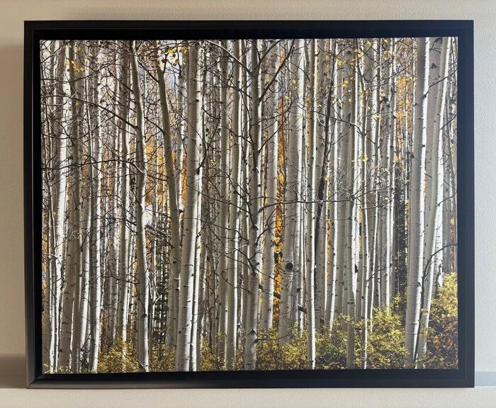 Autumn Sentries
 
 
Artist: 
Donalee Brown
 
 
Price: $250
 
16" x 20"