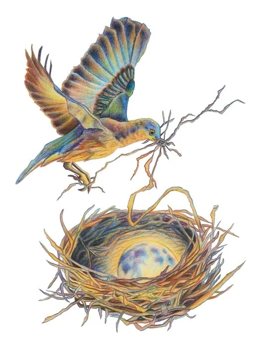  Creation Myth
 
 
Artist: 
Sarah Nix
 
 
Price: $500
 
13" x 10"