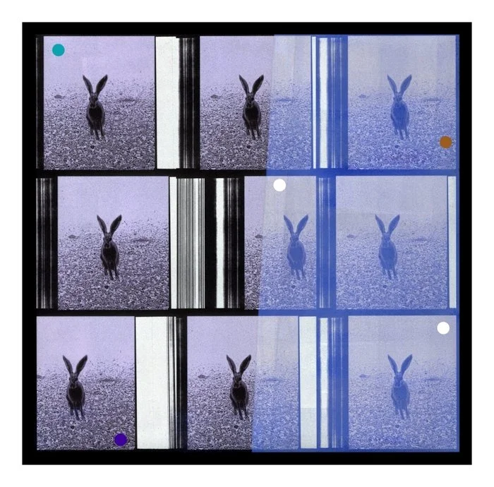  Jack Rabbit (now it's a party)
 
 
Artist: 
Patty deGrandpre (Lamy, NM)
 
 
Price: $250
 
8" x 8"