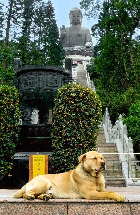 po lin.jpg