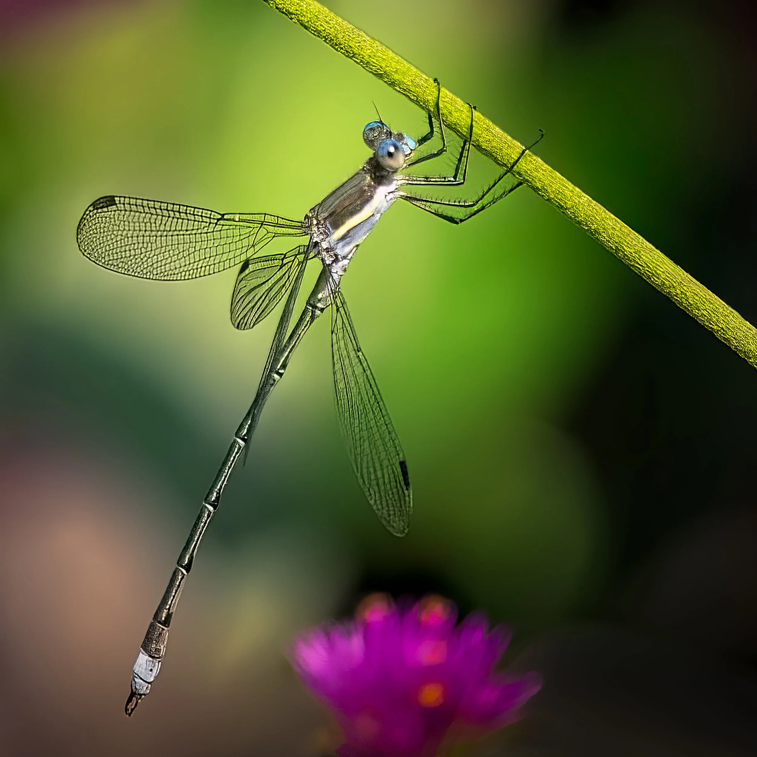  Hanging In There
 
 
Photographer: 
Stuart Liddle
 
 
Price: $150
 
12” x 12”