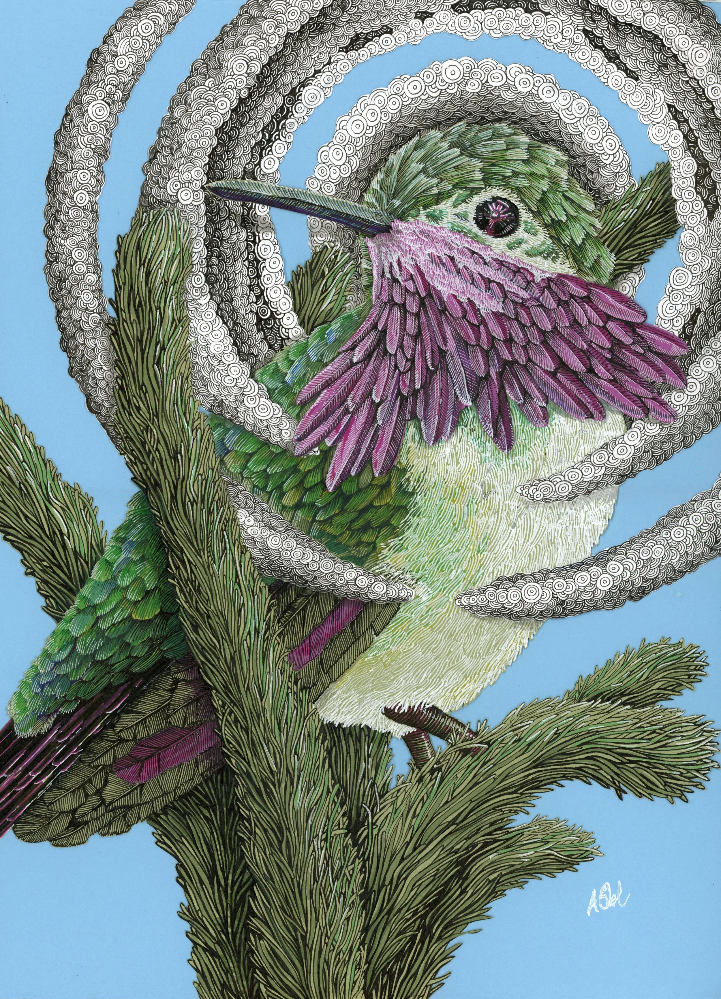 Calliope
 
 
Artist: 
Aidan Shelburne
 
 
Price: $890
 
20.5" x 24.5"