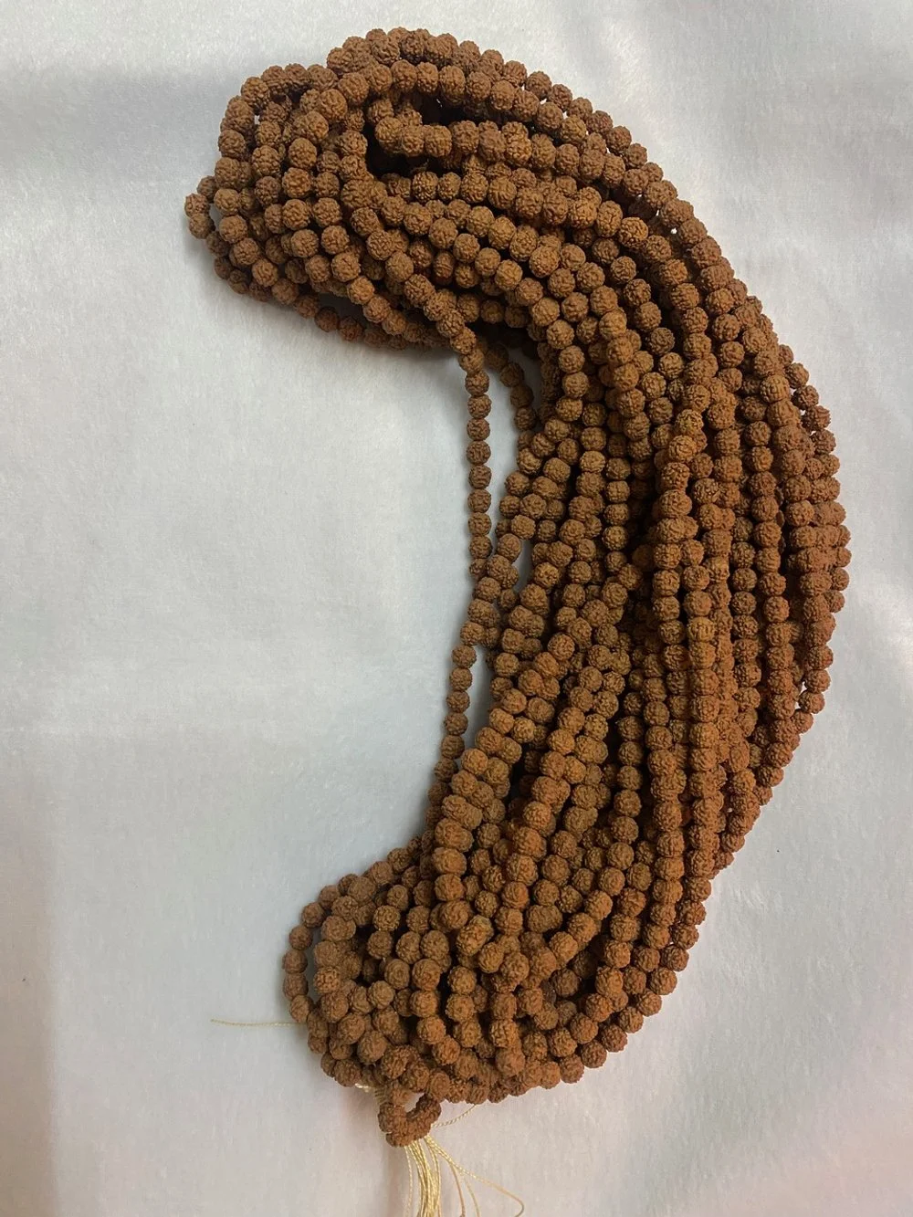 Rudraksha