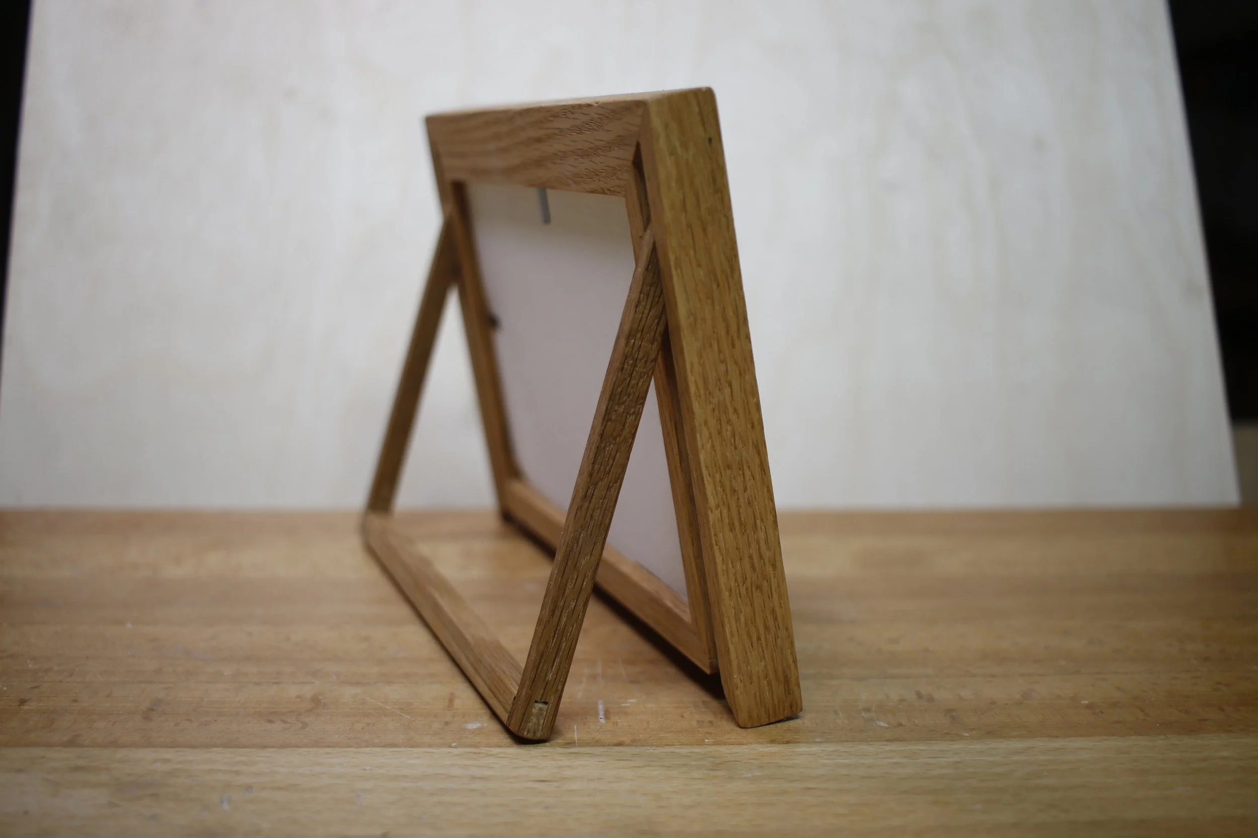 frame_sideviewback.jpg