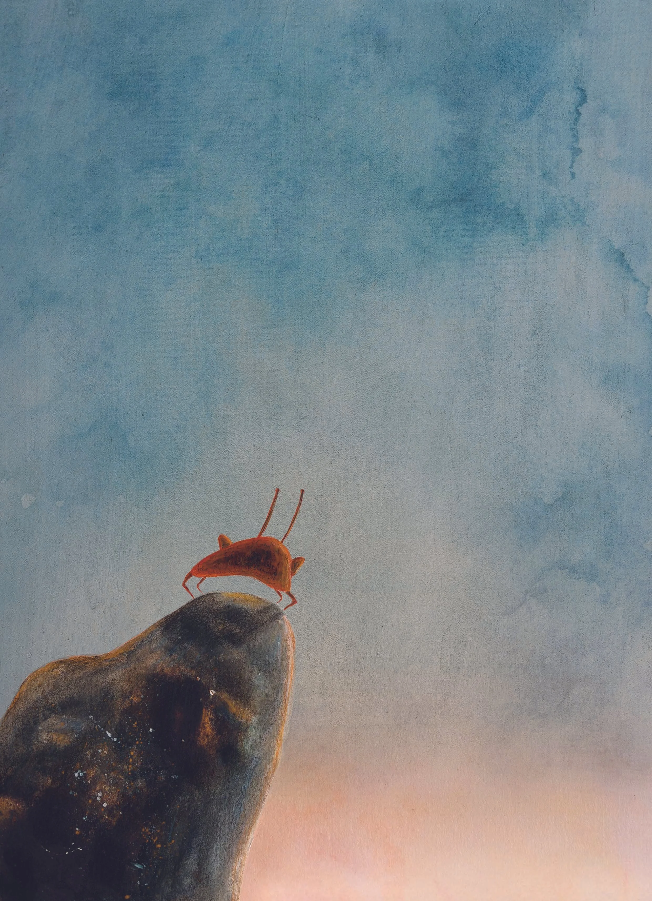 Little Crab cover.jpg