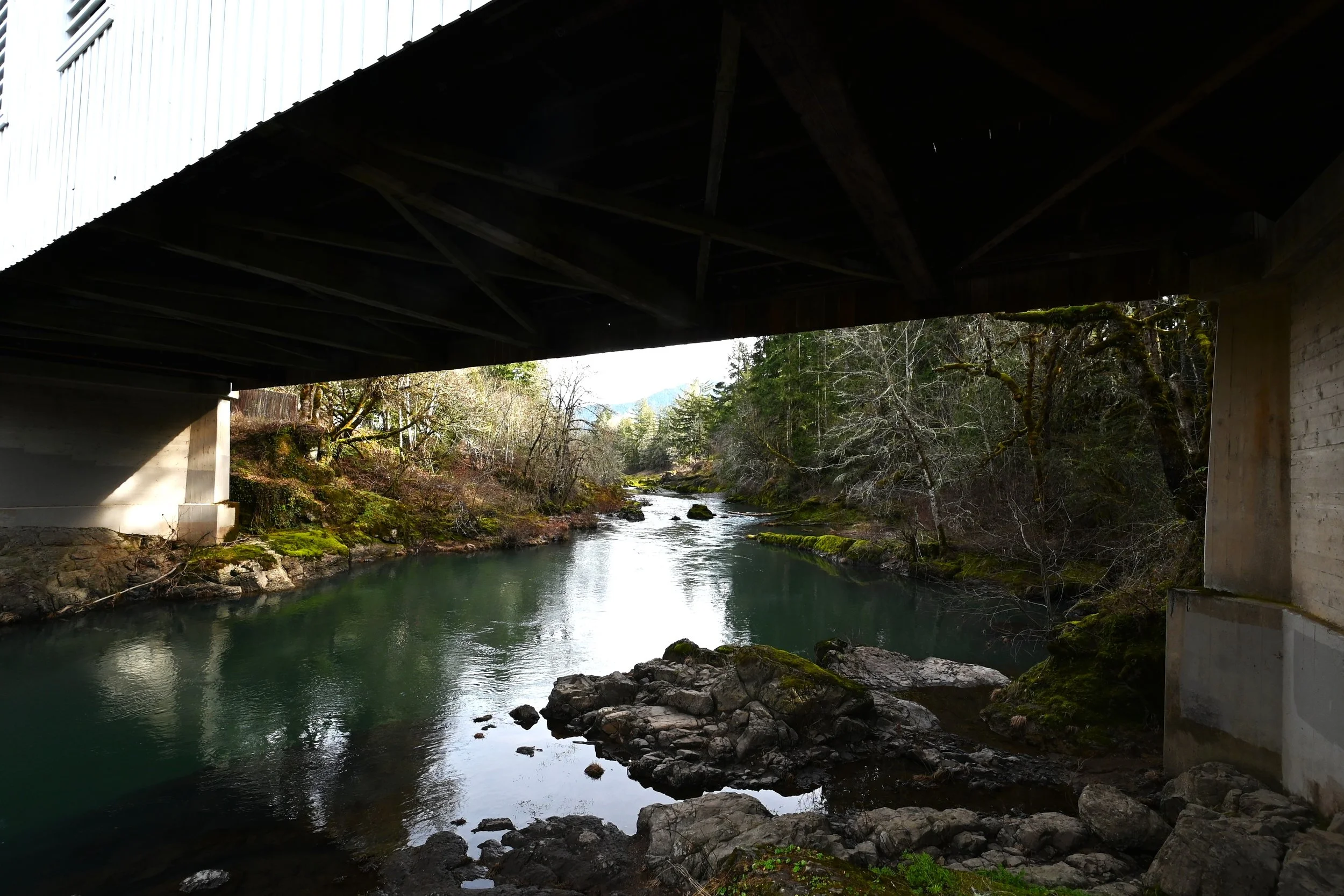 Dorena Covered Bridge