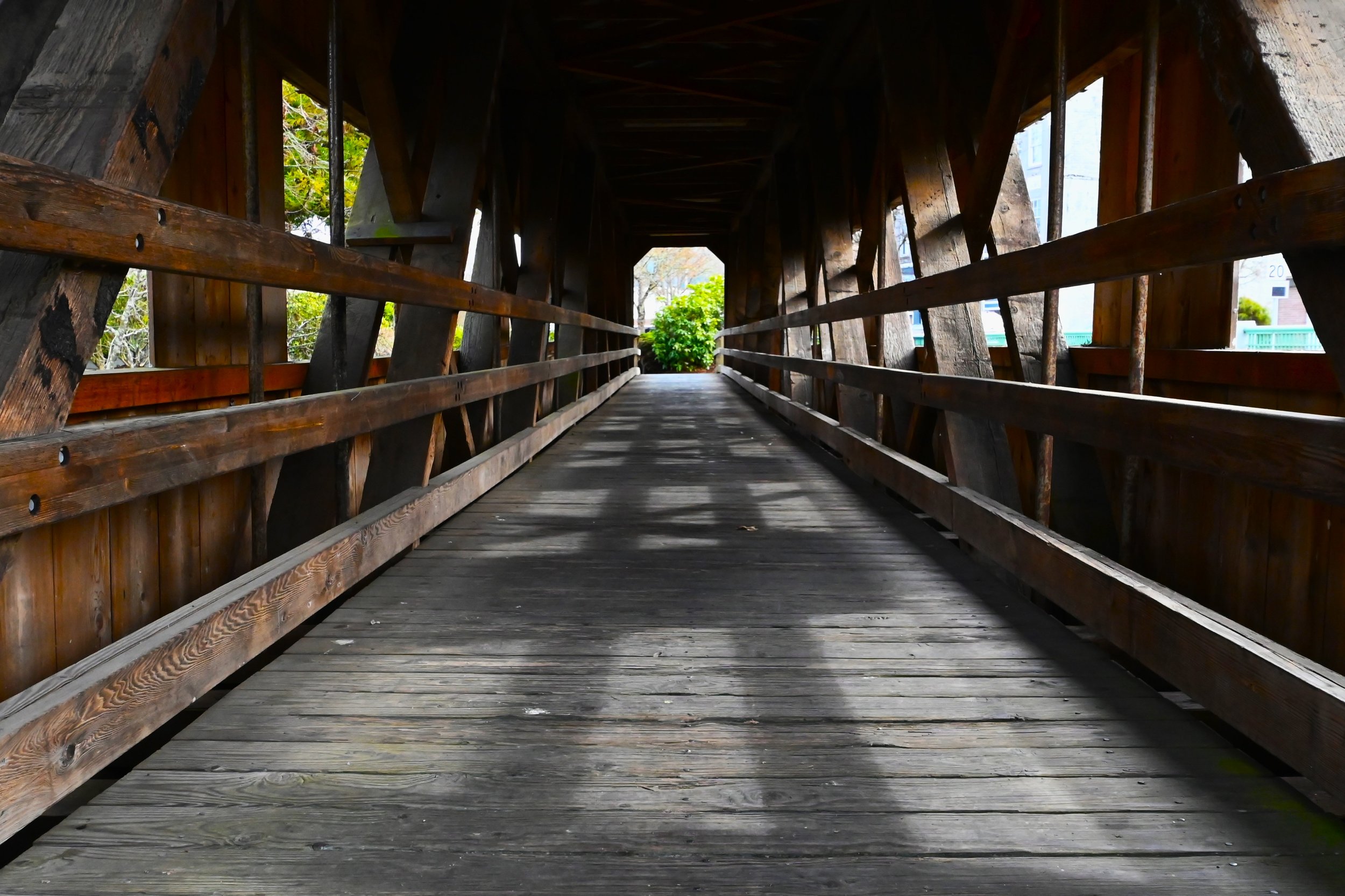 DSC_4629.JPG