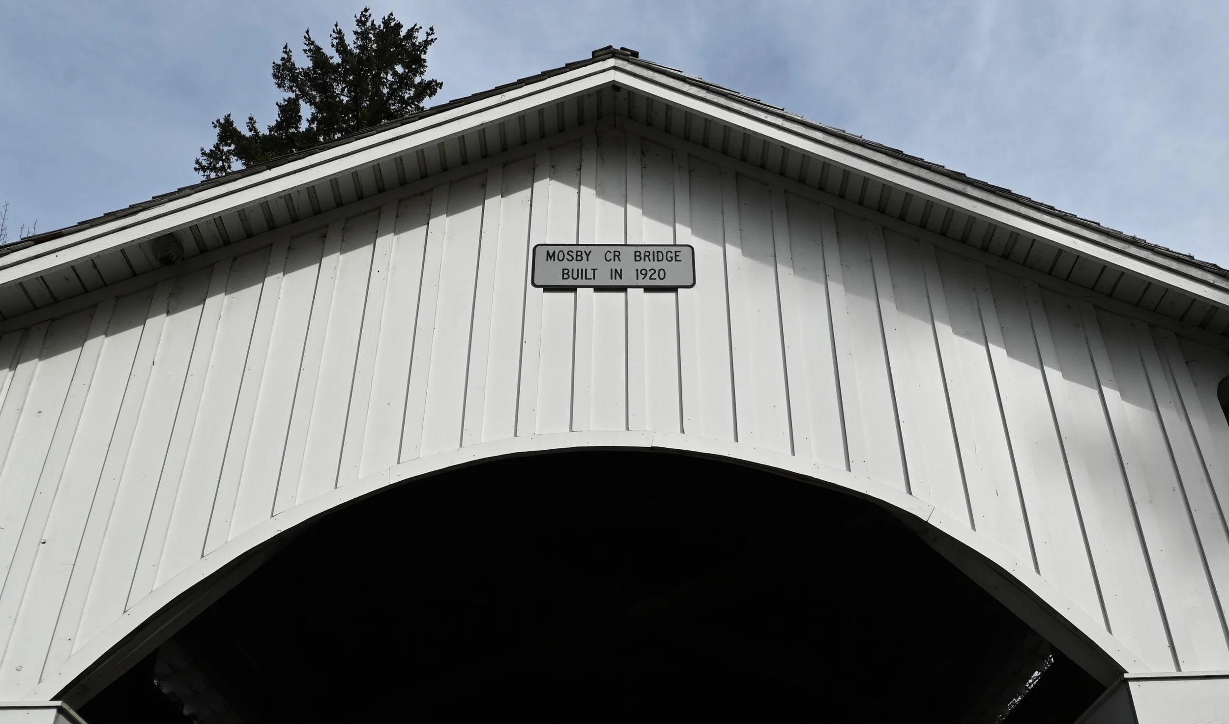 DSC_4653.JPG