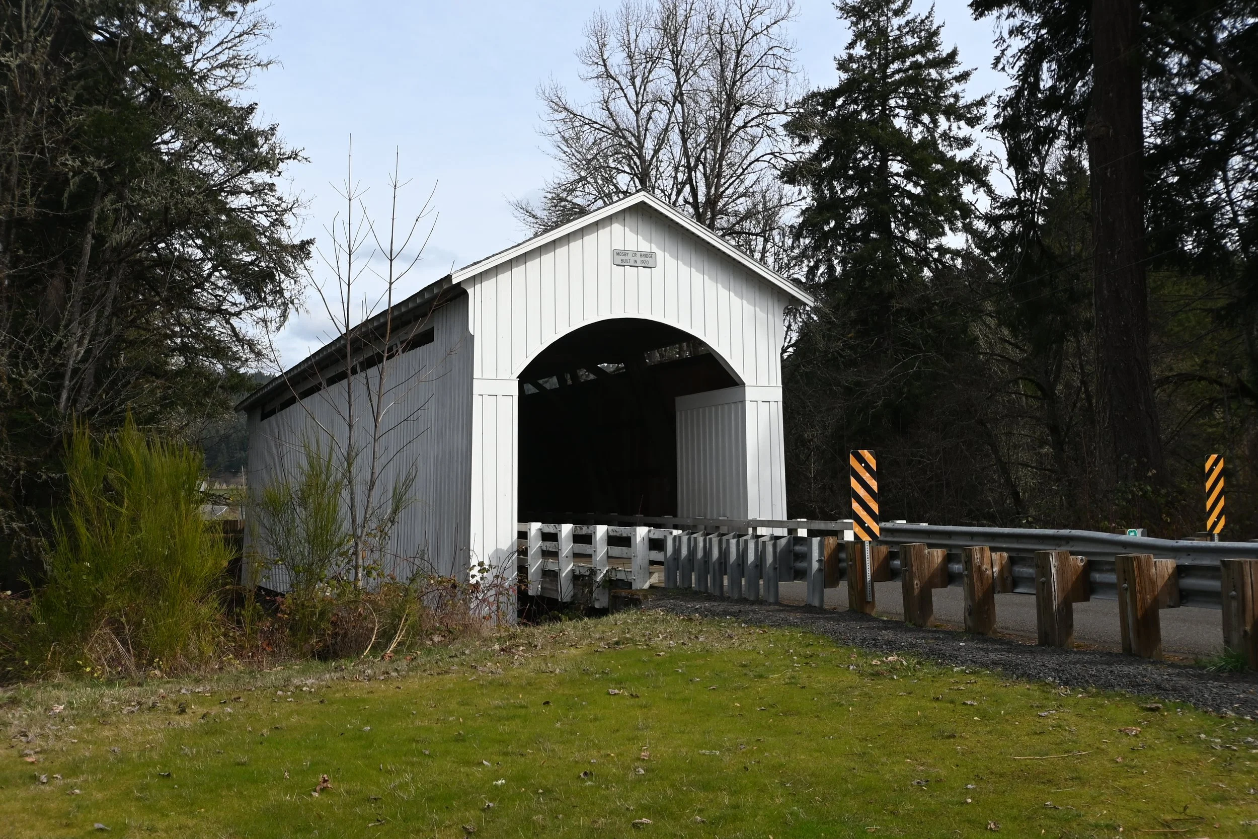 DSC_4654.JPG