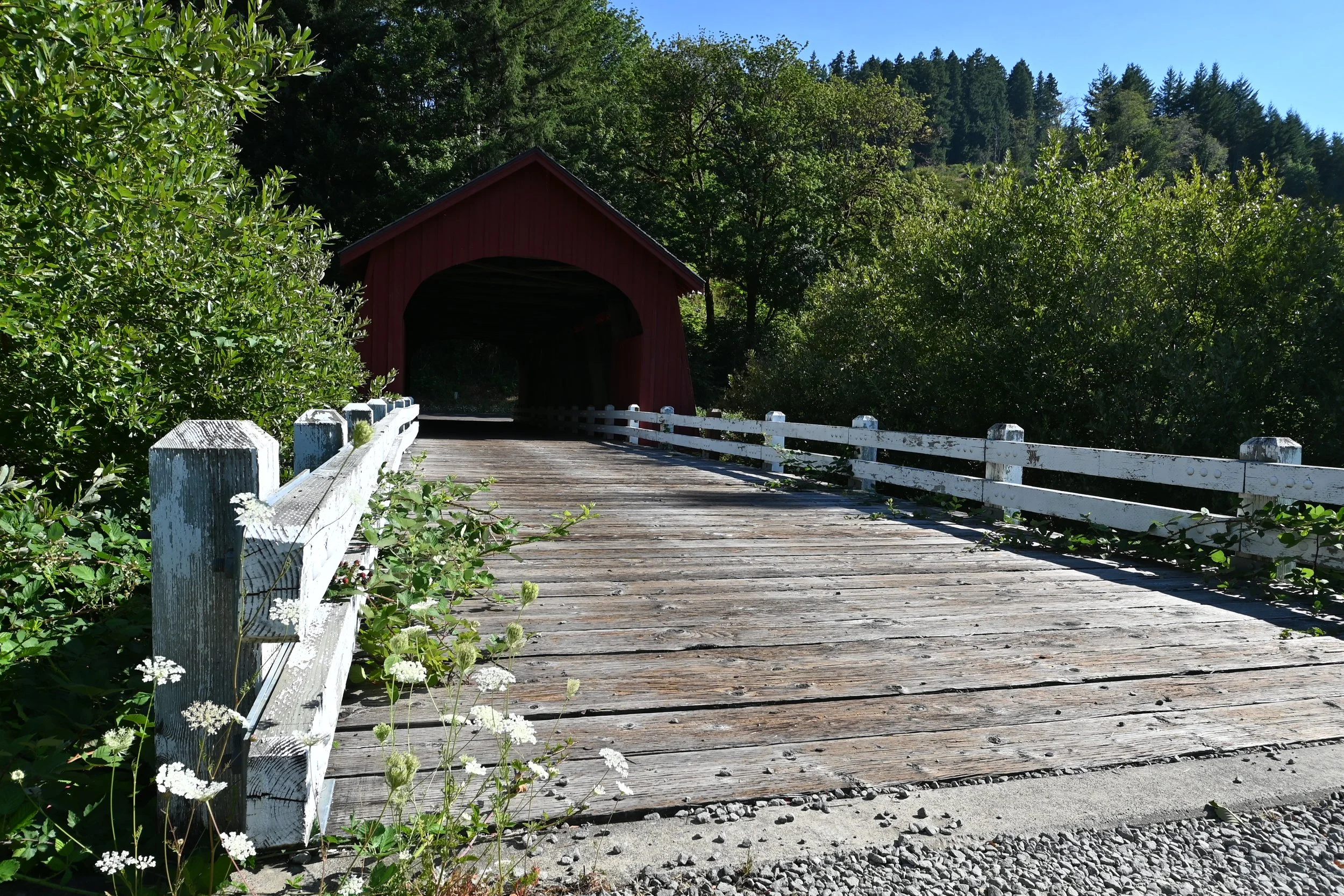 DSC_1518.JPG