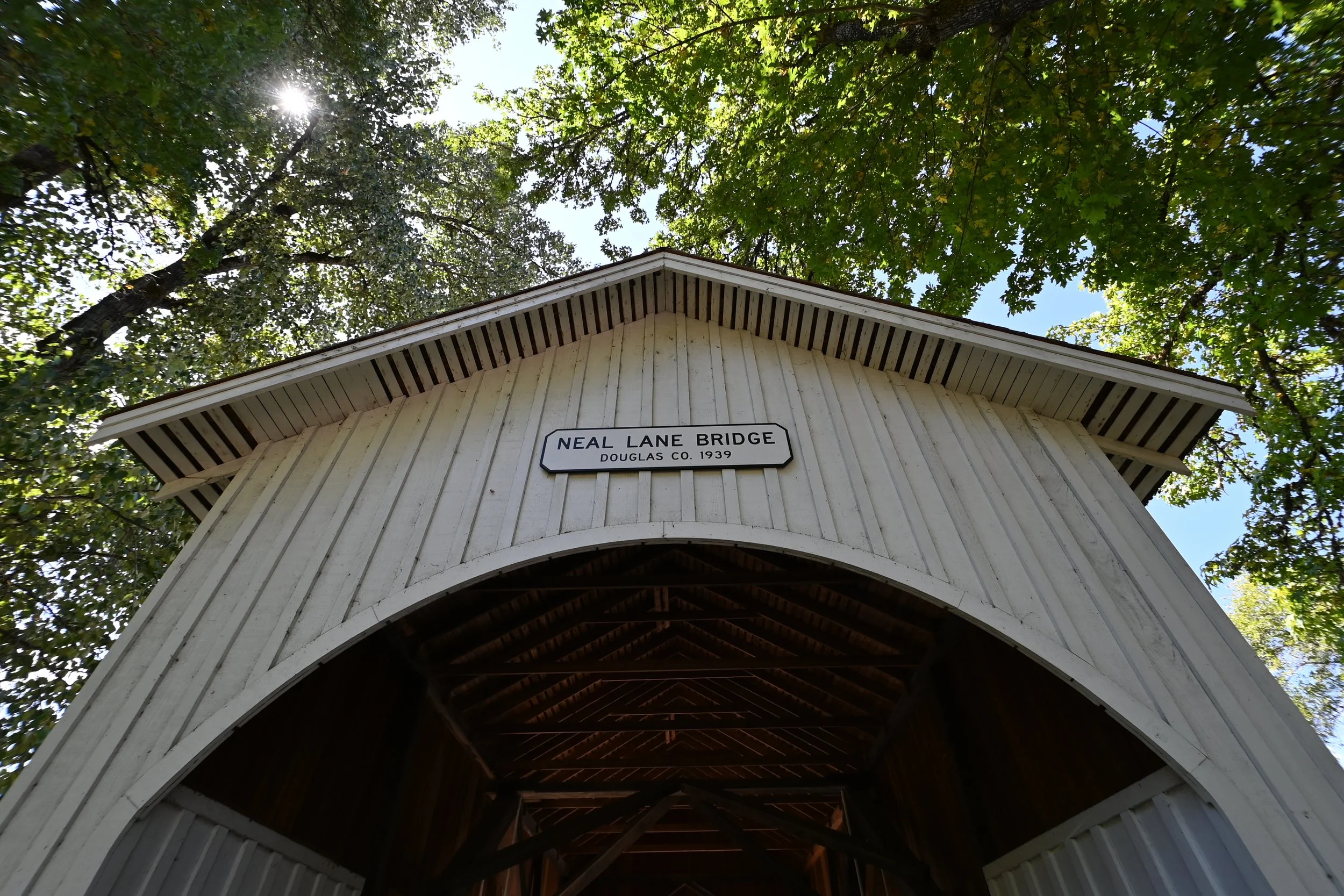 DSC_9232 - Copy.JPG
