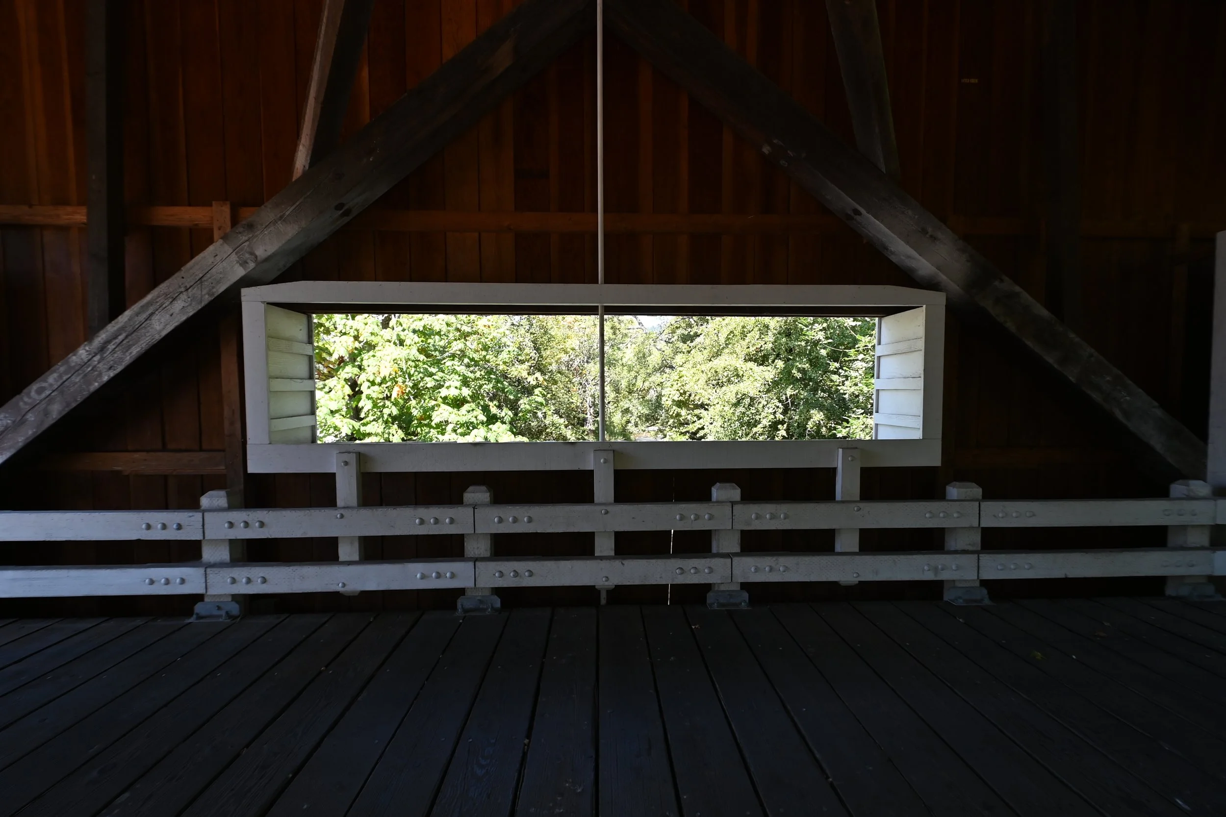 DSC_9235 - Copy.JPG