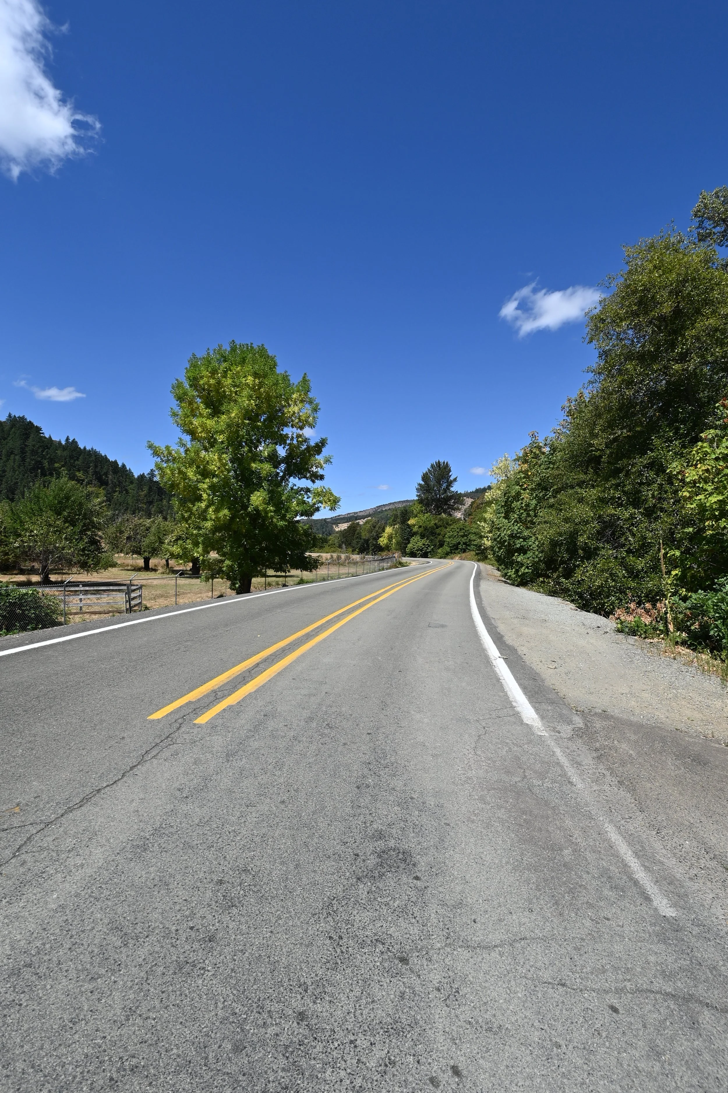 DSC_9242 - Copy.JPG