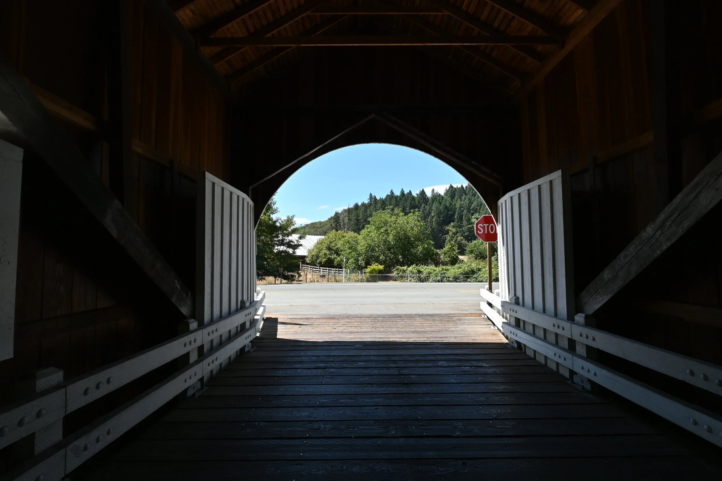 DSC_9237.JPG