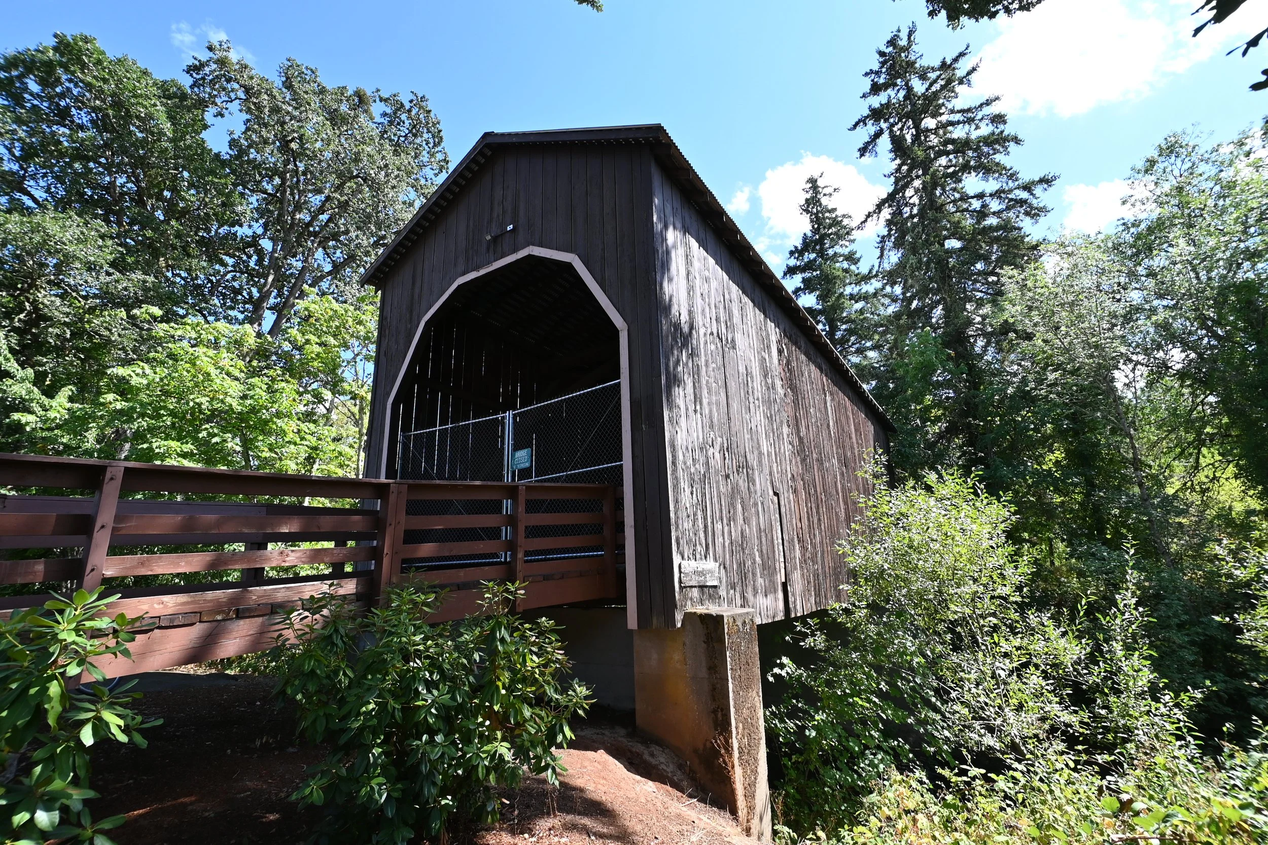 DSC_9315.JPG