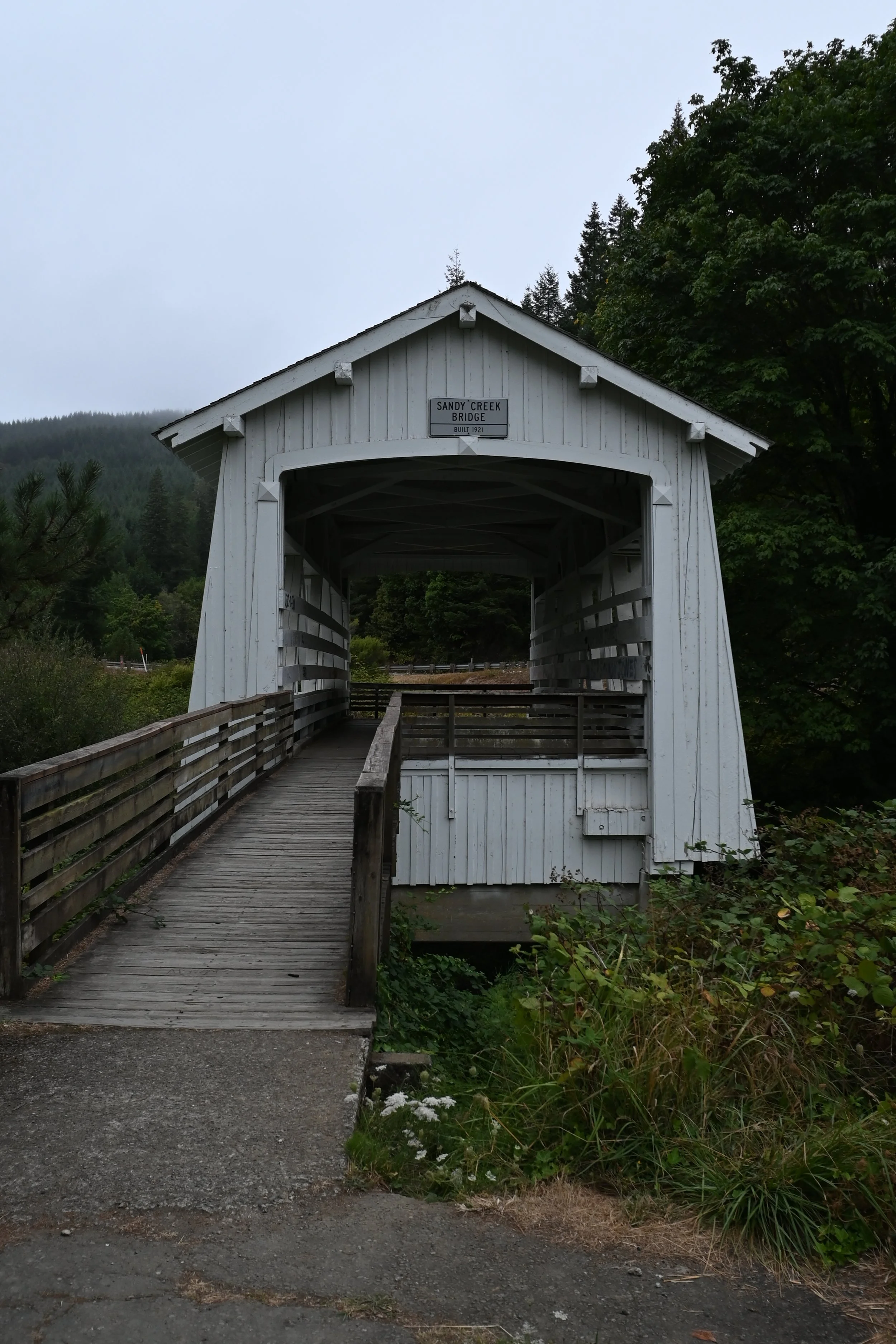 DSC_9554.JPG