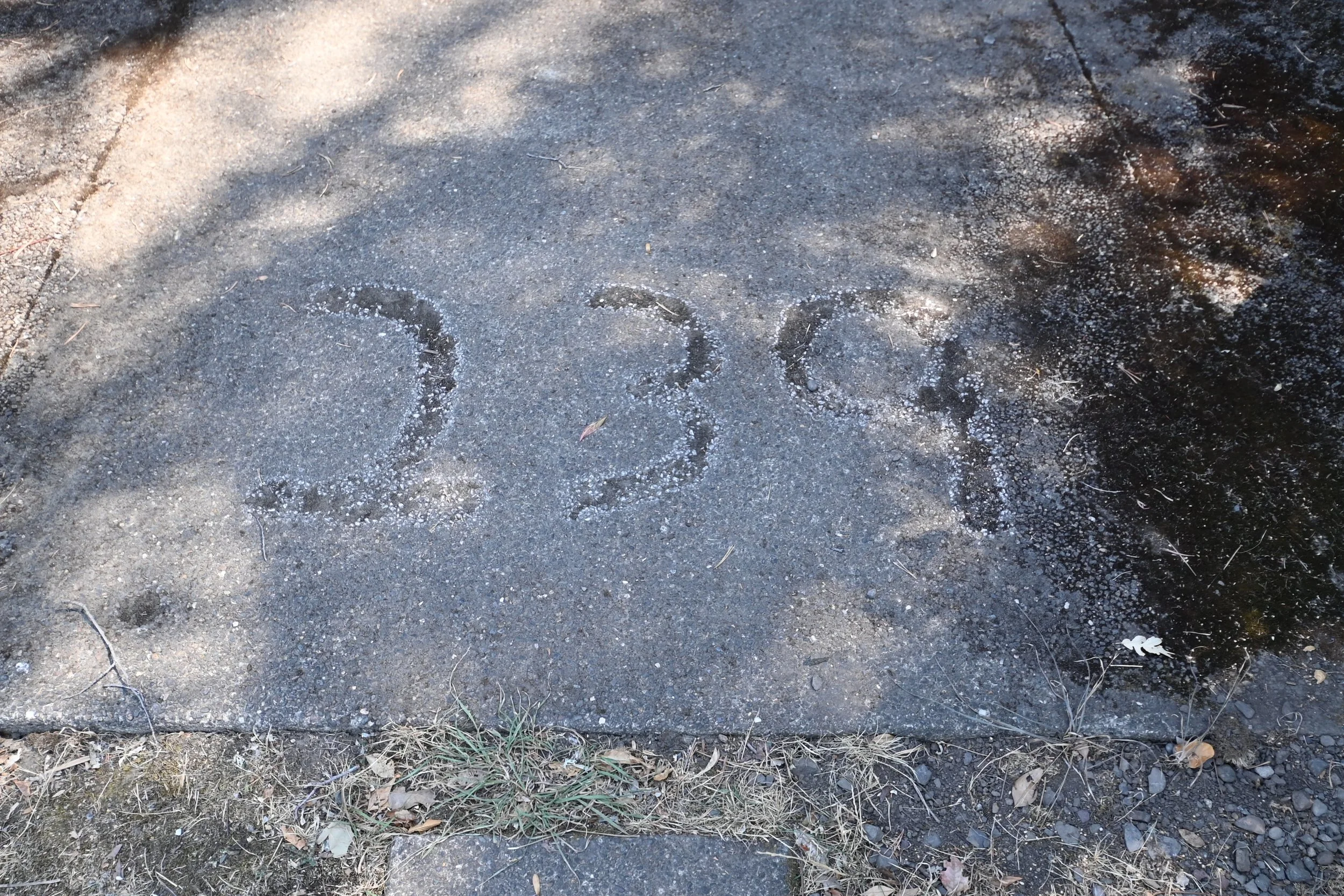 DSC_9460.JPG