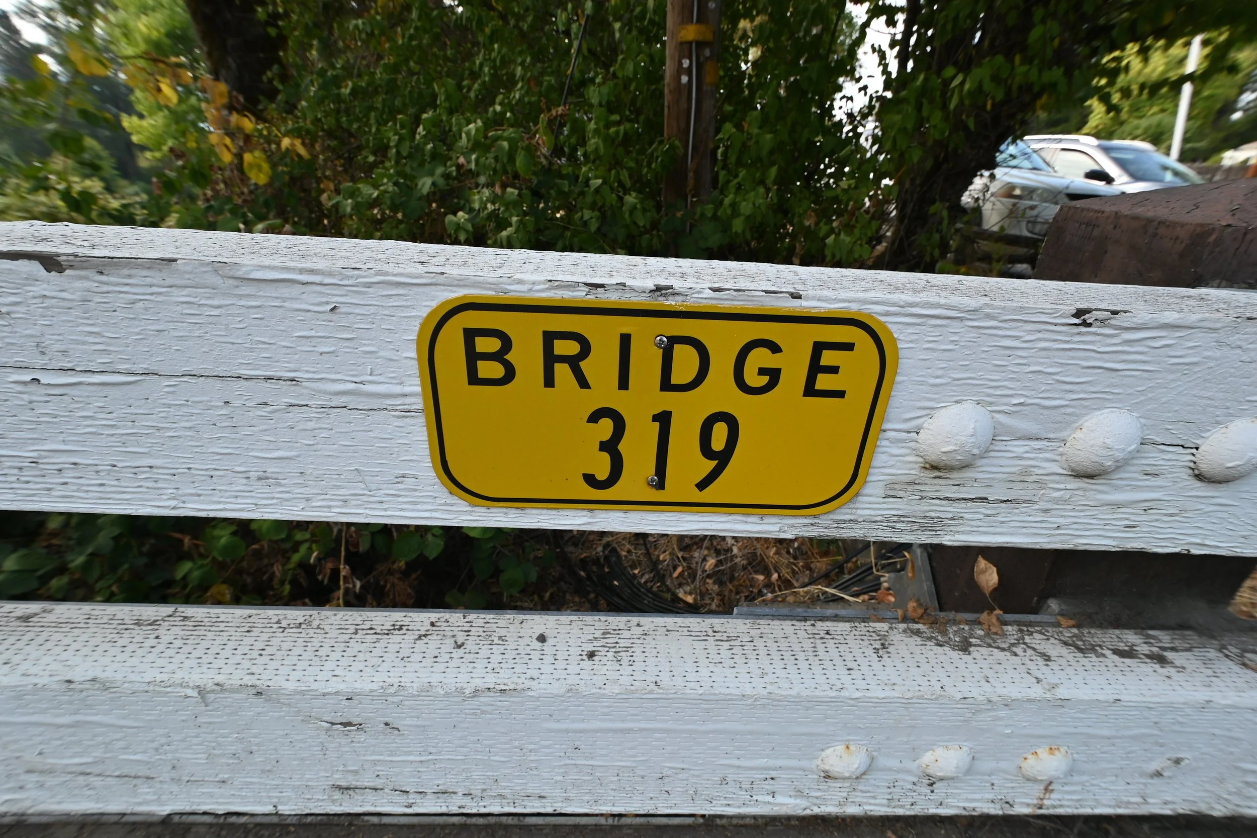DSC_9505.JPG