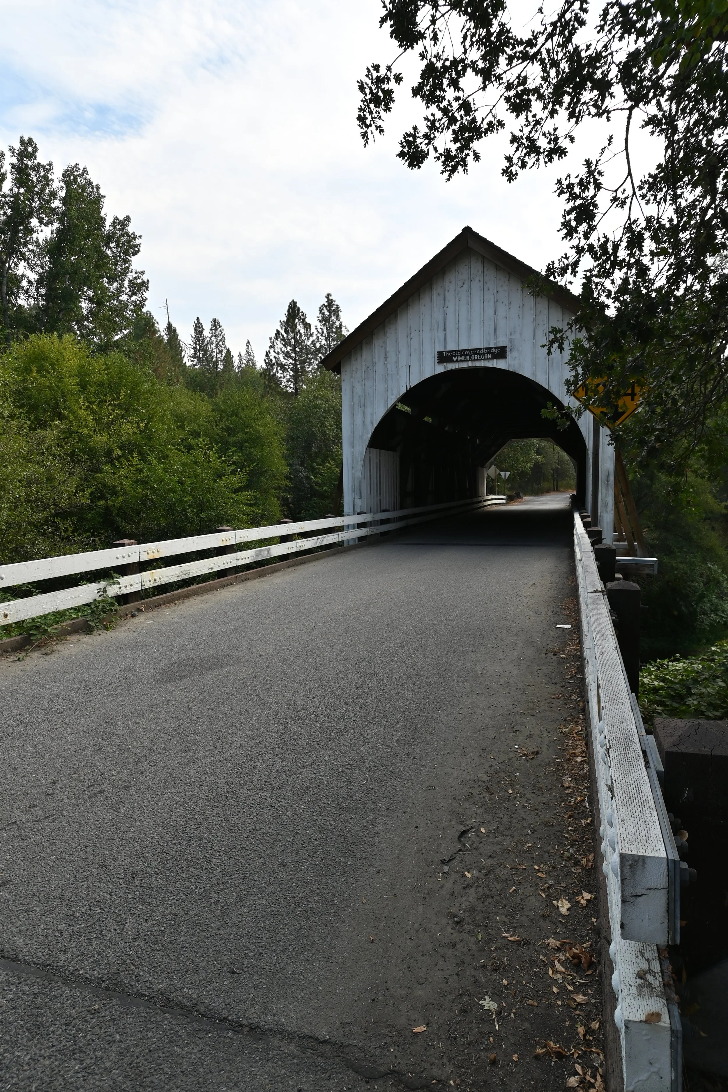 DSC_9517.JPG