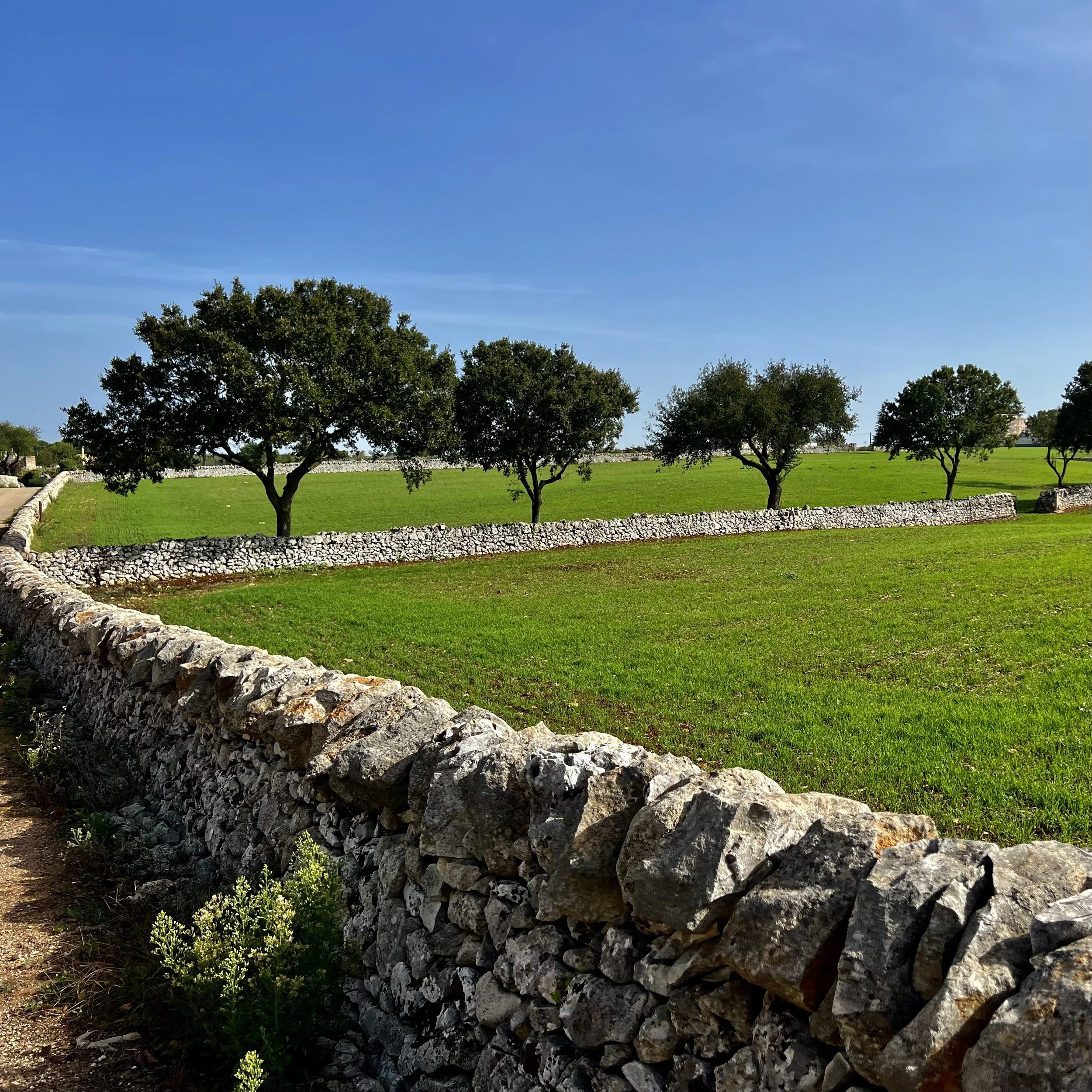 dry stone wall in Puglia, Italy