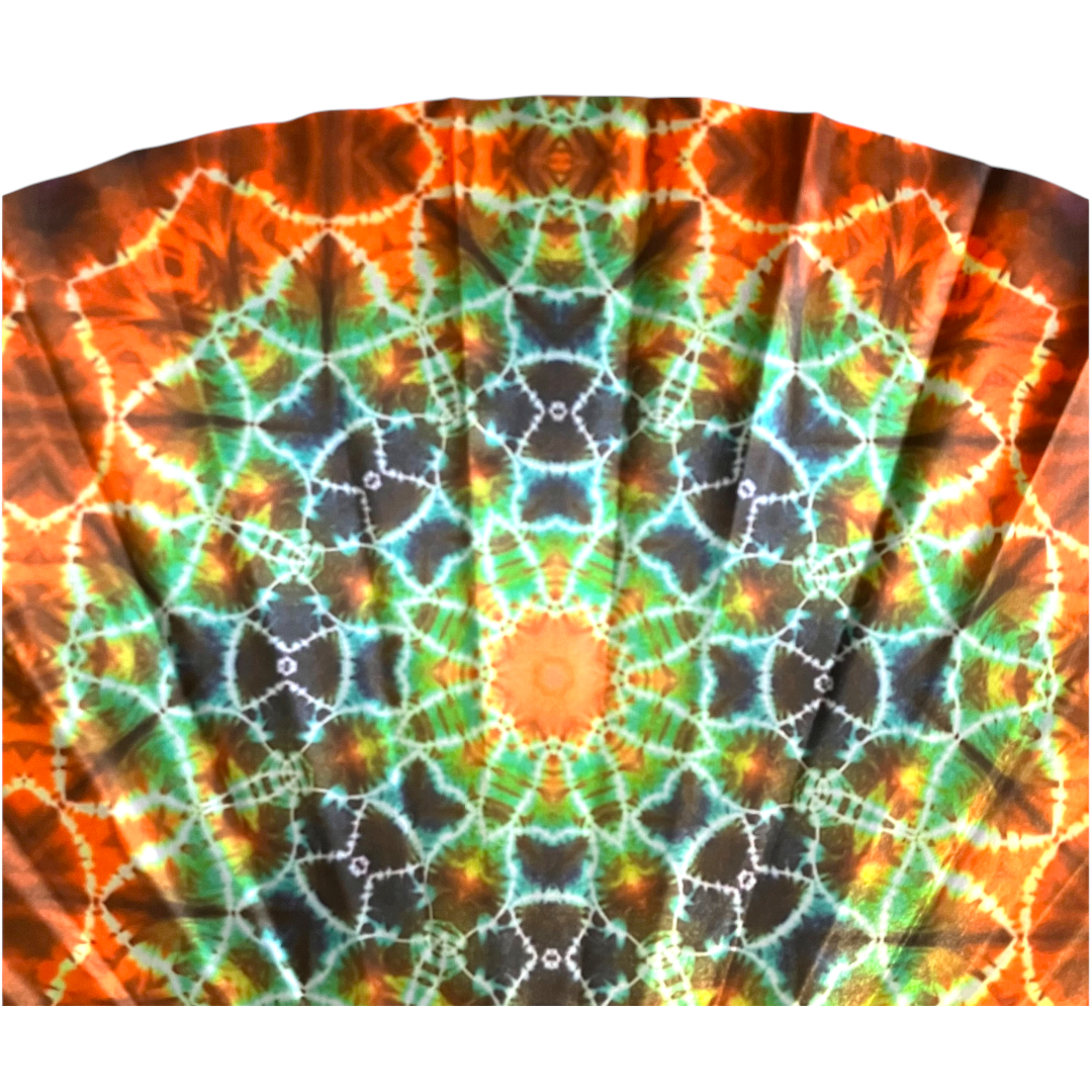 Caterpillar Fan Close up 1_1.png