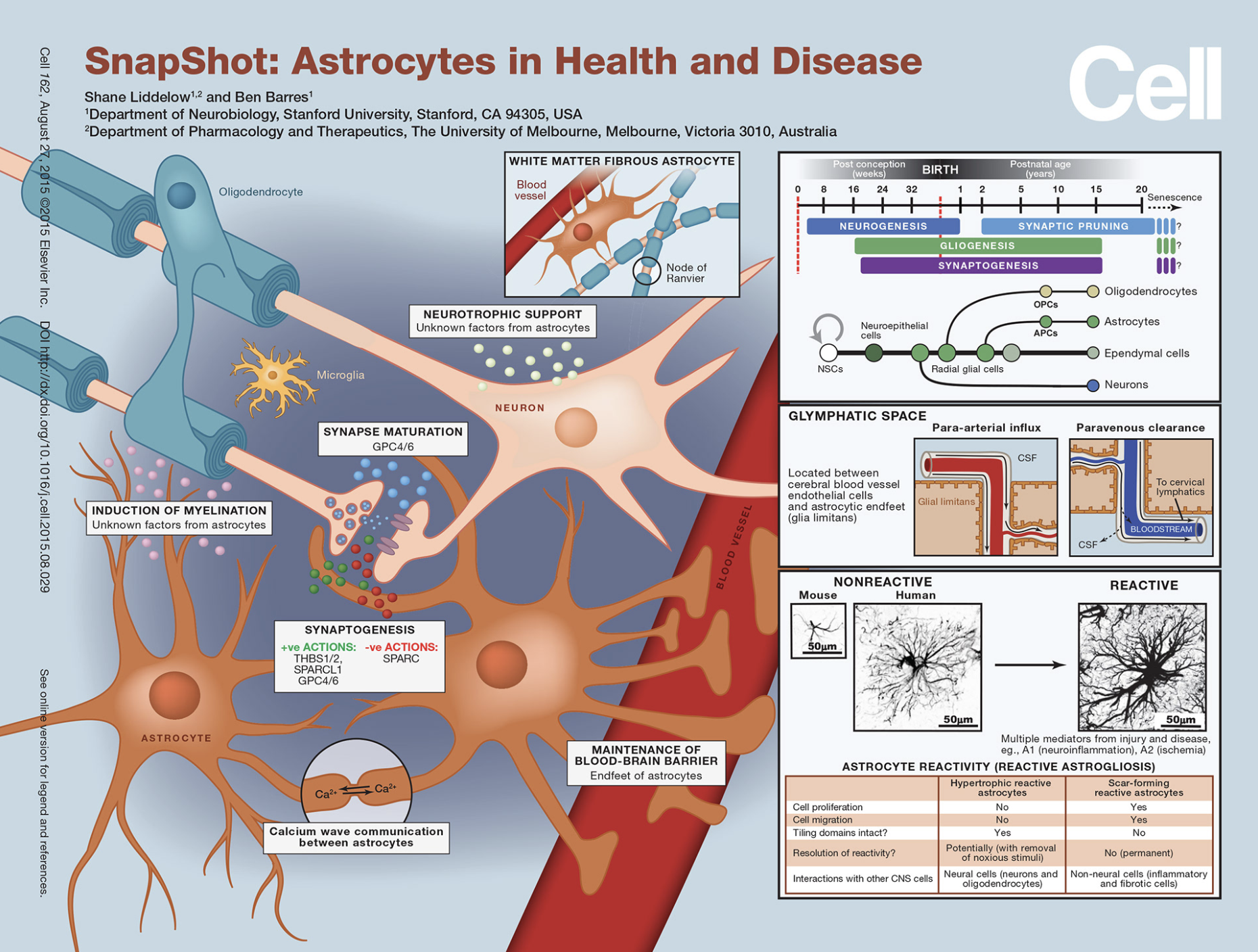 Screenshot 2024-11-27 at 10.54.01 PM.png