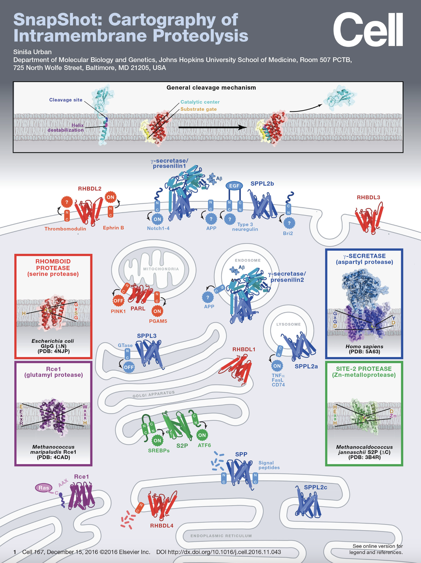 Screenshot 2024-11-27 at 10.54.46 PM.png