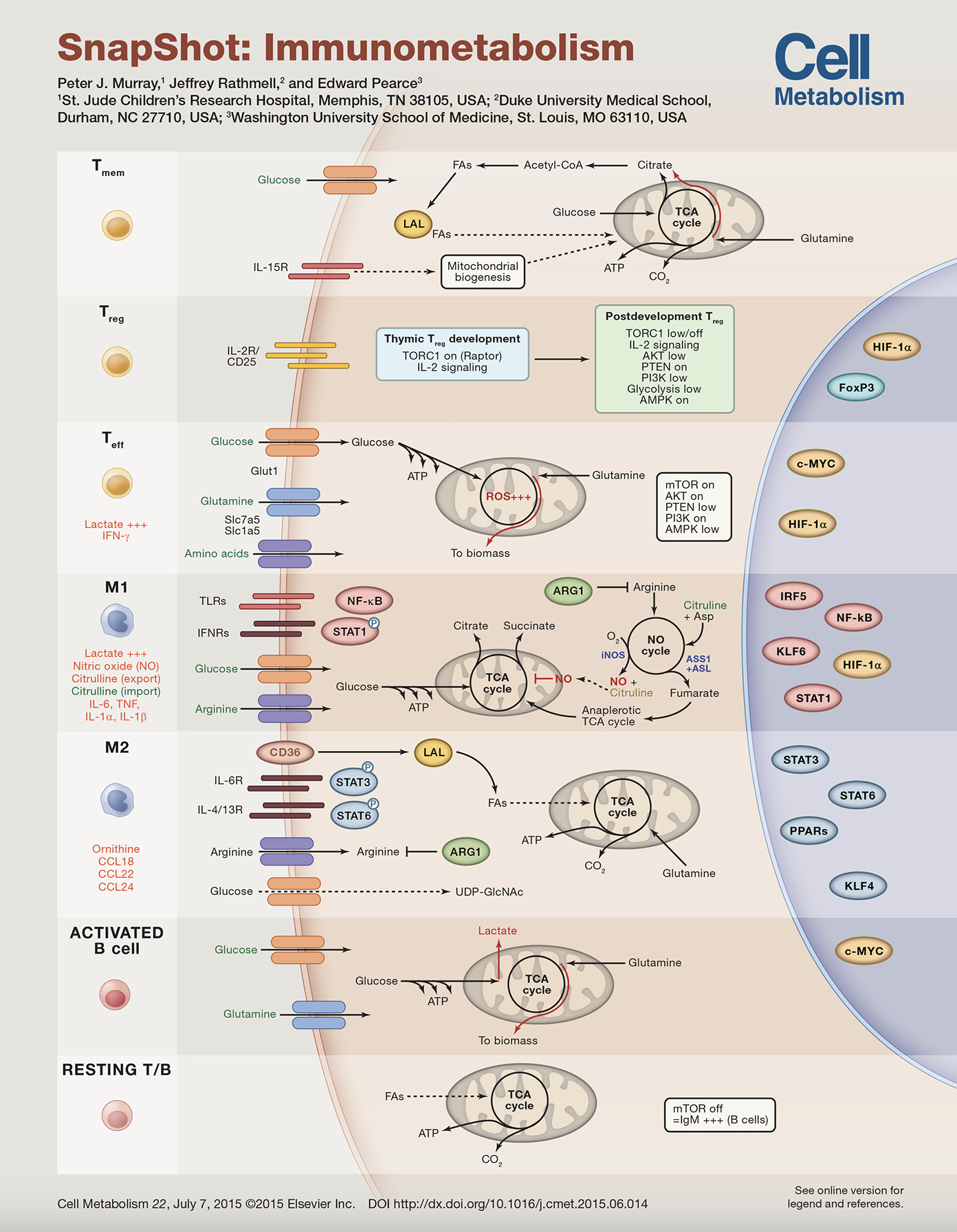 Screenshot 2024-12-30 at 3.13.27 PM.png