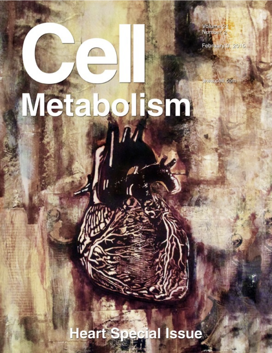 Screenshot 2025-01-02 at 1.21.19 PM.png