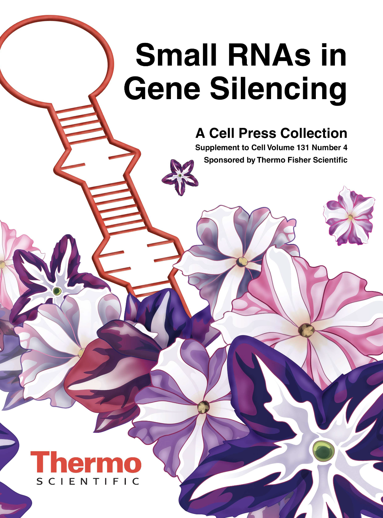 Screenshot 2024-11-27 at 10.36.53 PM.png