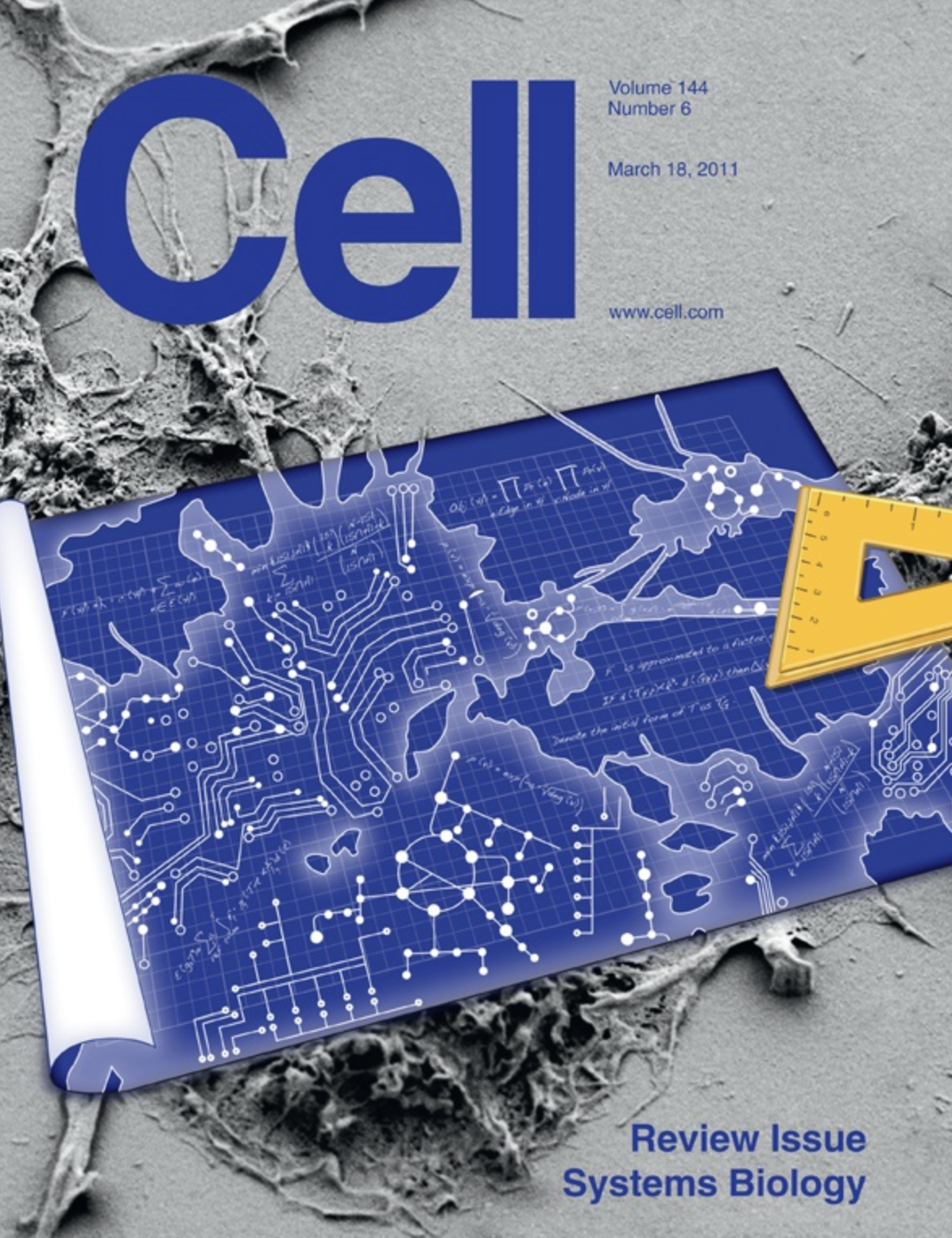 Screenshot 2024-11-27 at 9.53.21 PM.png