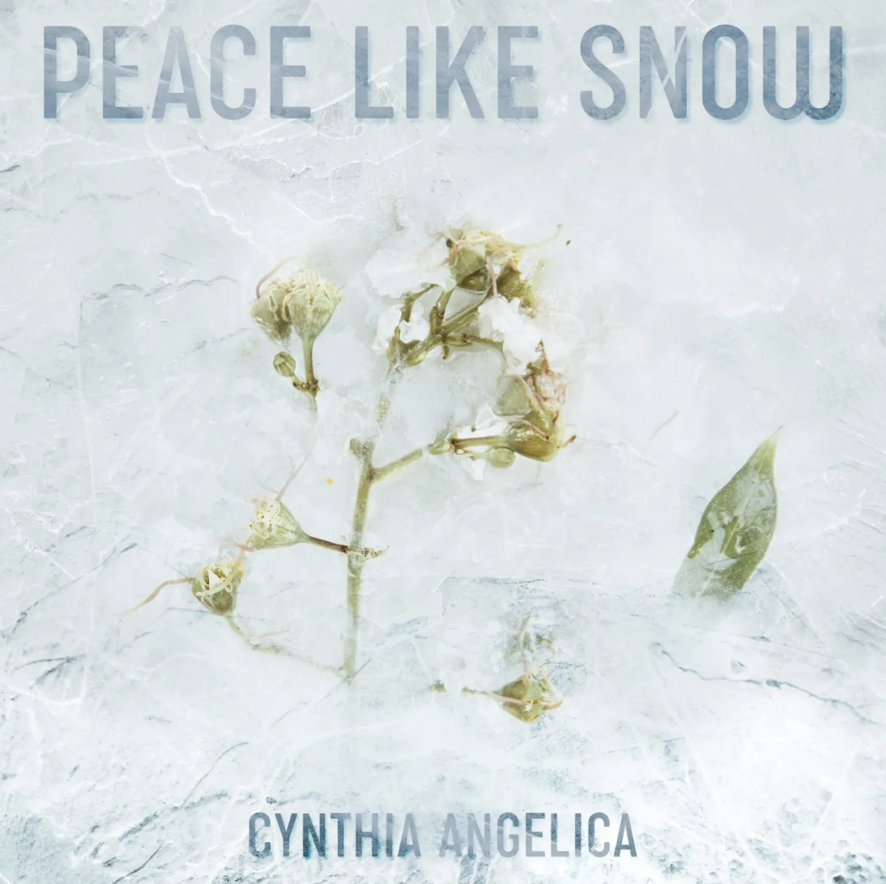 Maryland-based Spiritual Pop artist Releases Her Holiday Single, “Peace Like Snow”