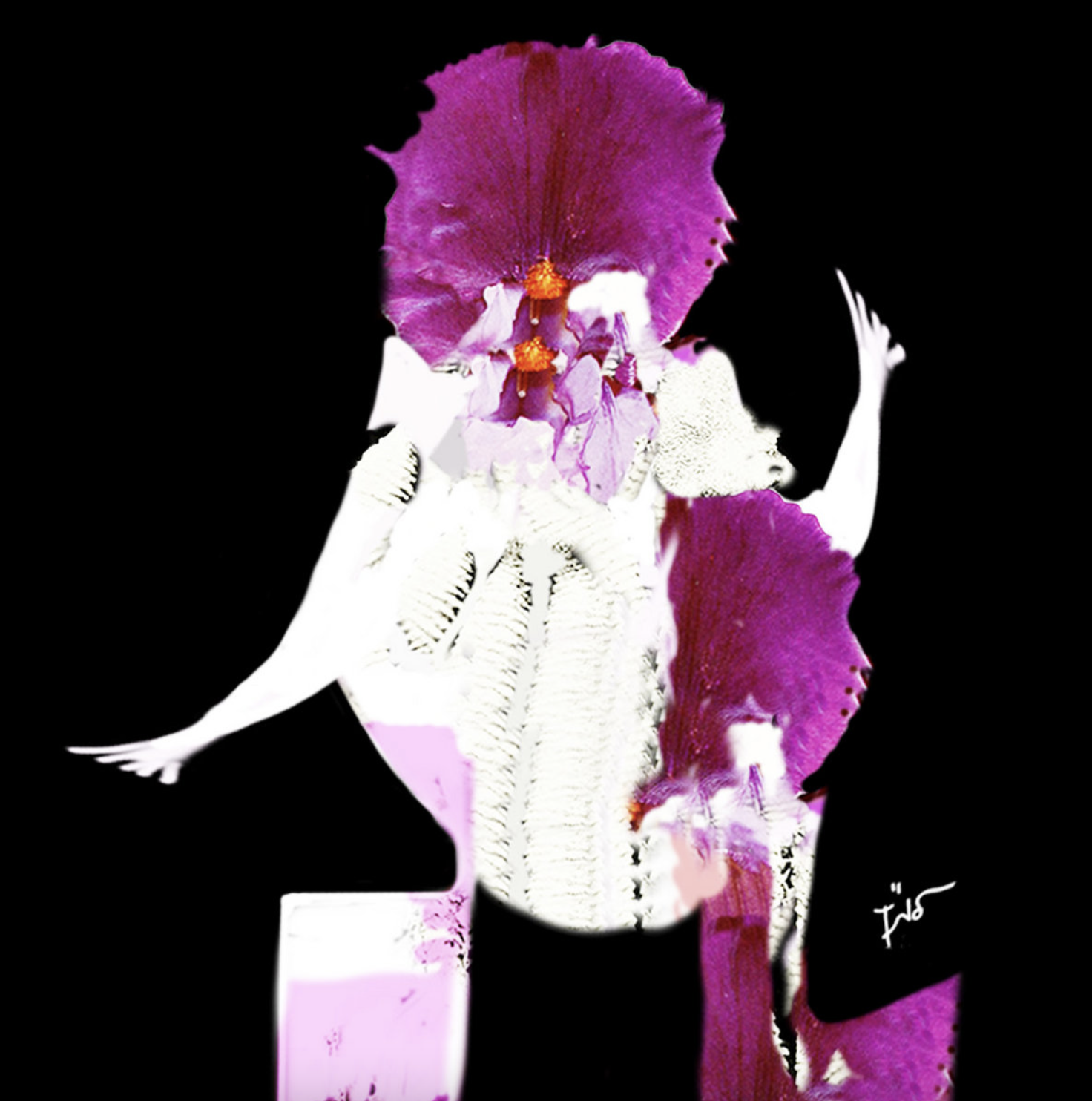 Southern Israeli Artist Gives Us A “Permit” Into A Sonic Experience